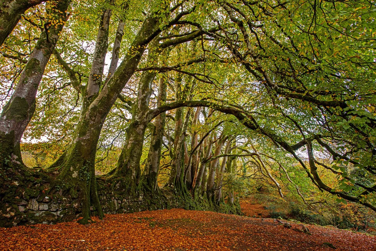 0C8A4671-2 (60x40).jpg