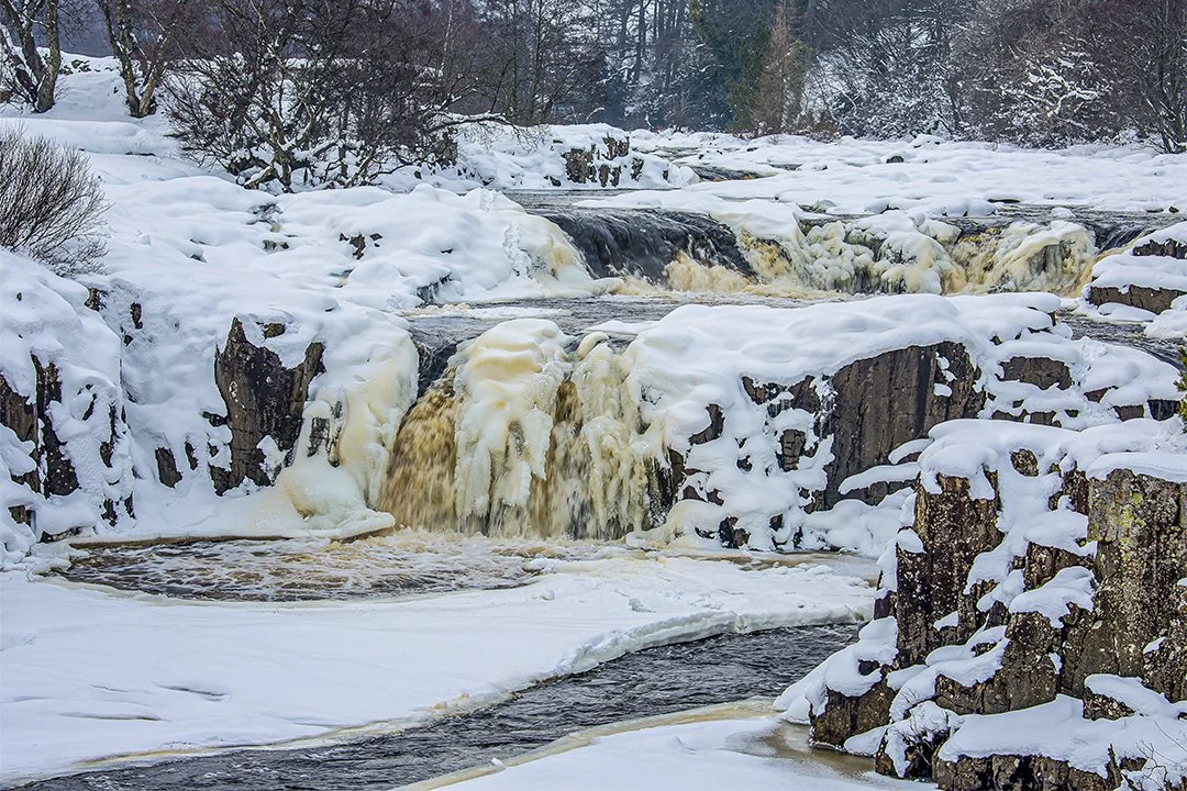 Low Force, Winter (3/3/2018)
