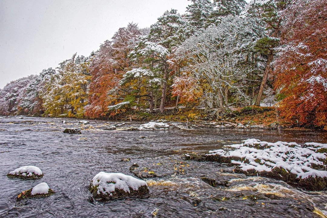 Seasons collide at Wynch Bank Plantation