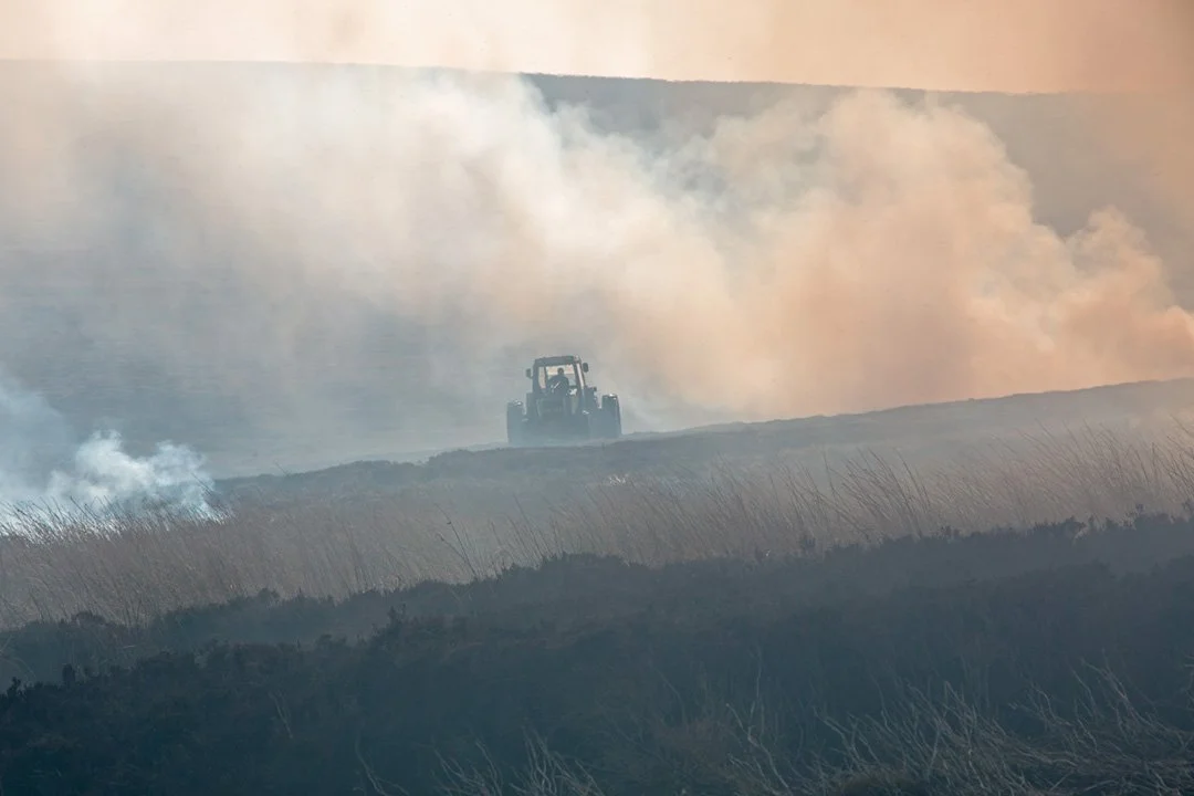 Mowing a fire strip while heather burning