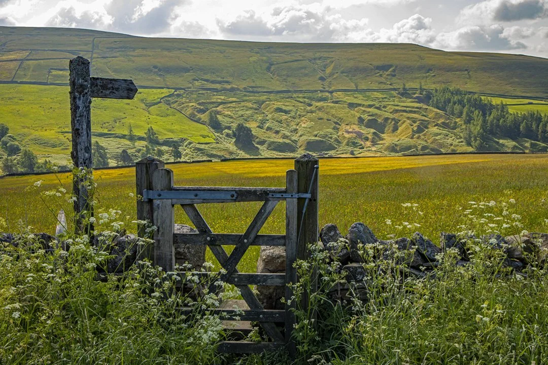 Footpath to Skears Hushes, from Aukside