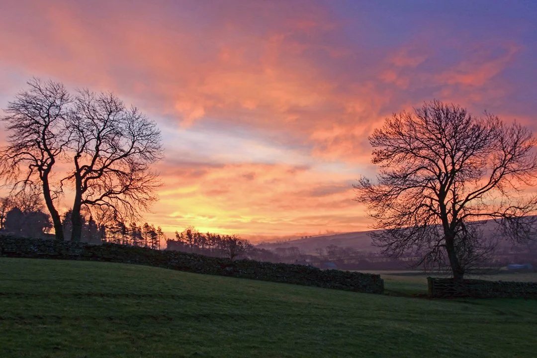 Sunrise over Middleton with Ash trees (now dead)