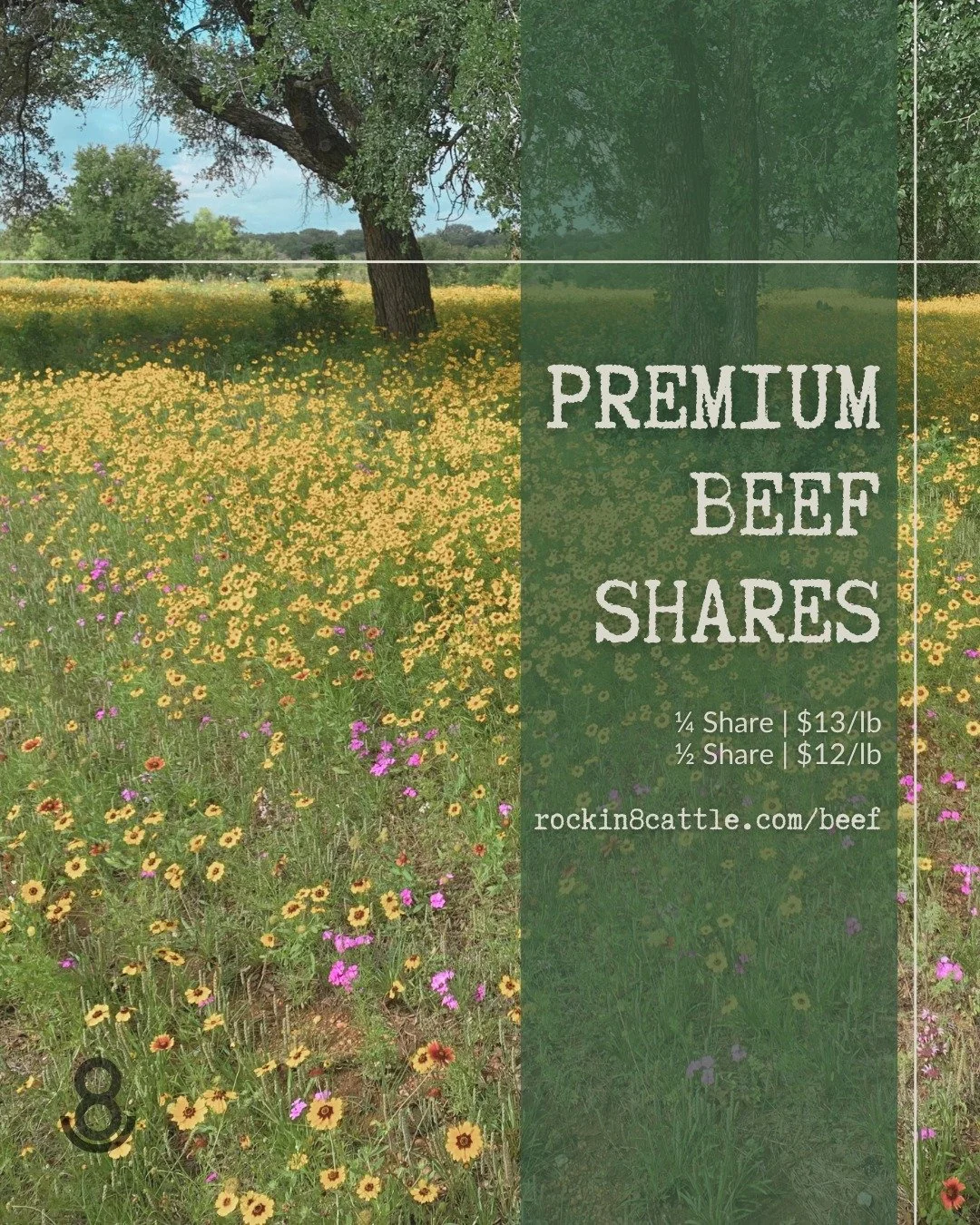 From our pastures to your freezer! Reserve your Half, or Quarter beef shares today:

1/2 Beef &ndash; $12/lb
1/4 Beef &ndash; $13/lb

Reserve yours before they&rsquo;re gone 
👉 rockin8cattle.com/beef

Questions? DM us!