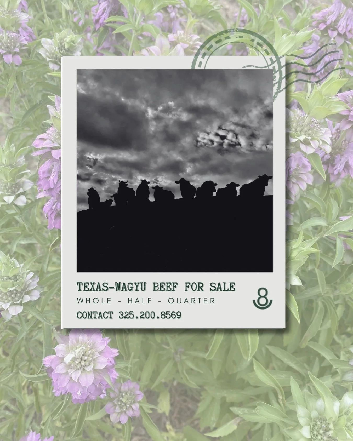 From steaks and roasts to ground beef, fill your freezer with locally raised Texas Wagyu and enjoy farm-to-table quality whenever you want it.

Now accepting bulk beef orders:
&bull;1/2 Beef (side of beef): approx 250 lbs x $12/lb
&bull;1/4 Beef: app