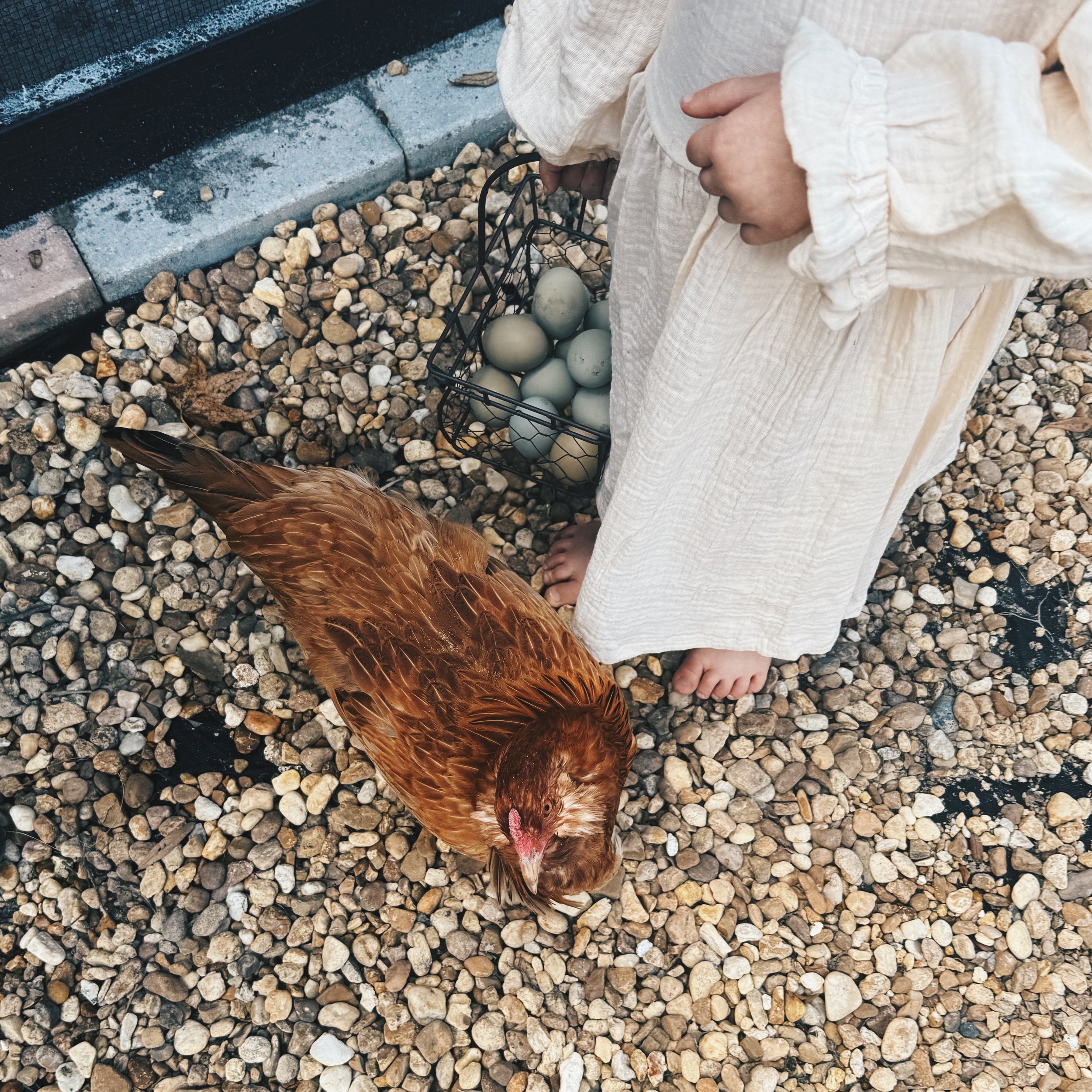 Chicken and sis .jpg