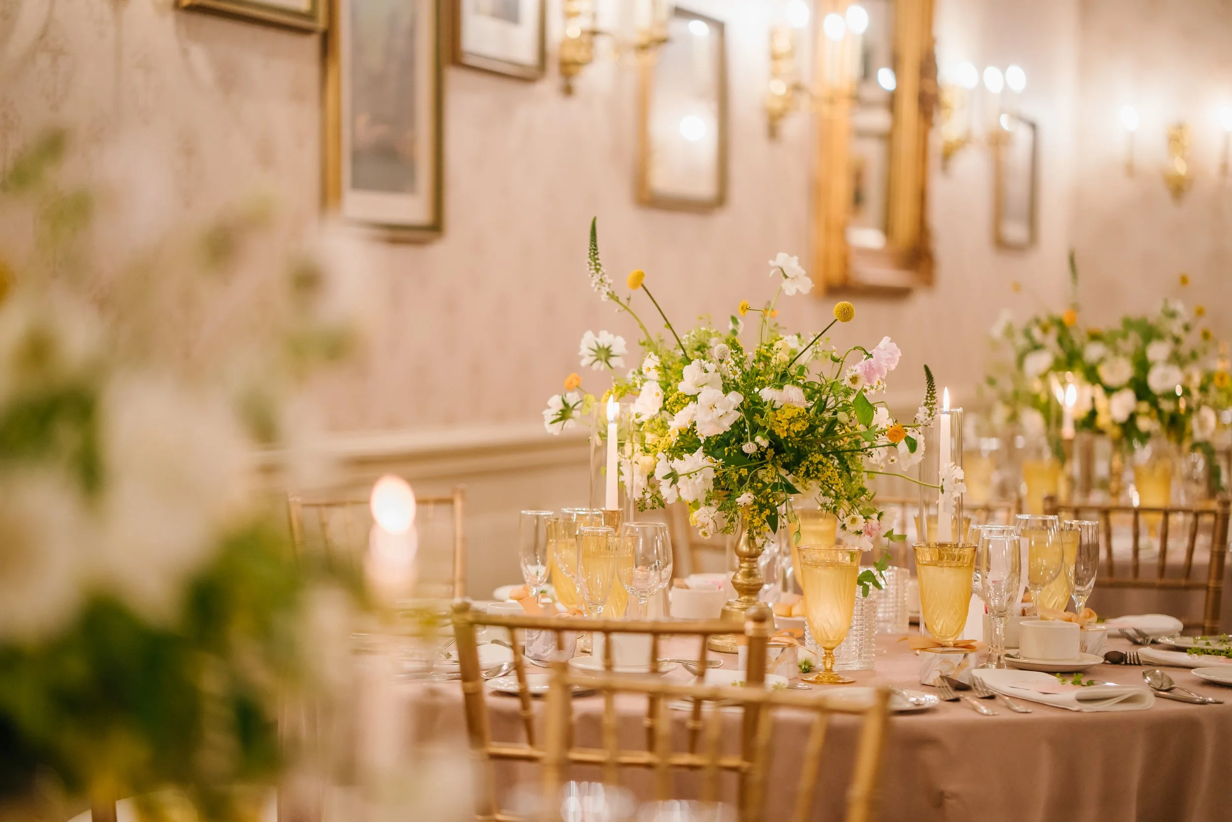 Emily Frank-485 (1).jpg