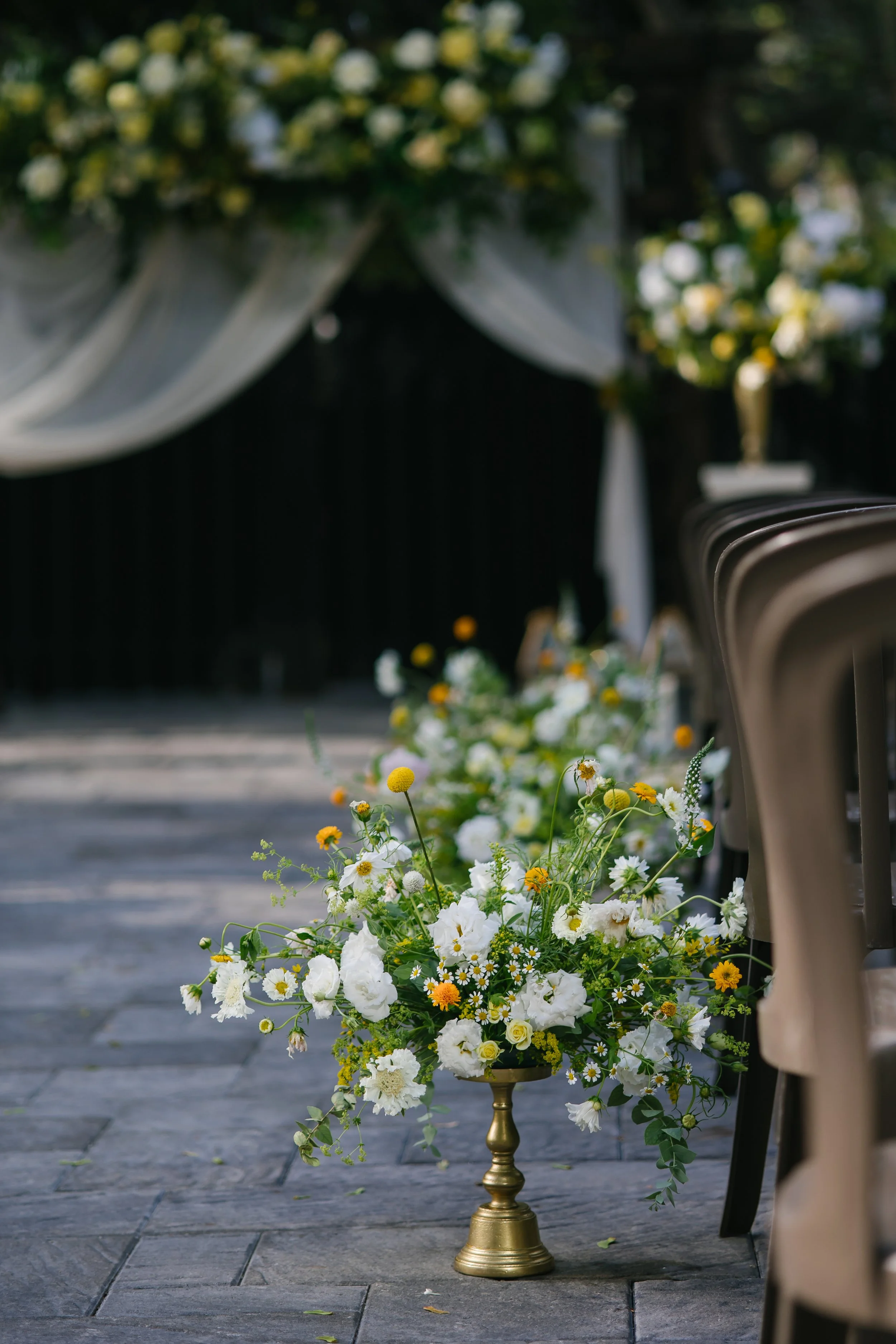 Emily Frank-320 (1).jpg