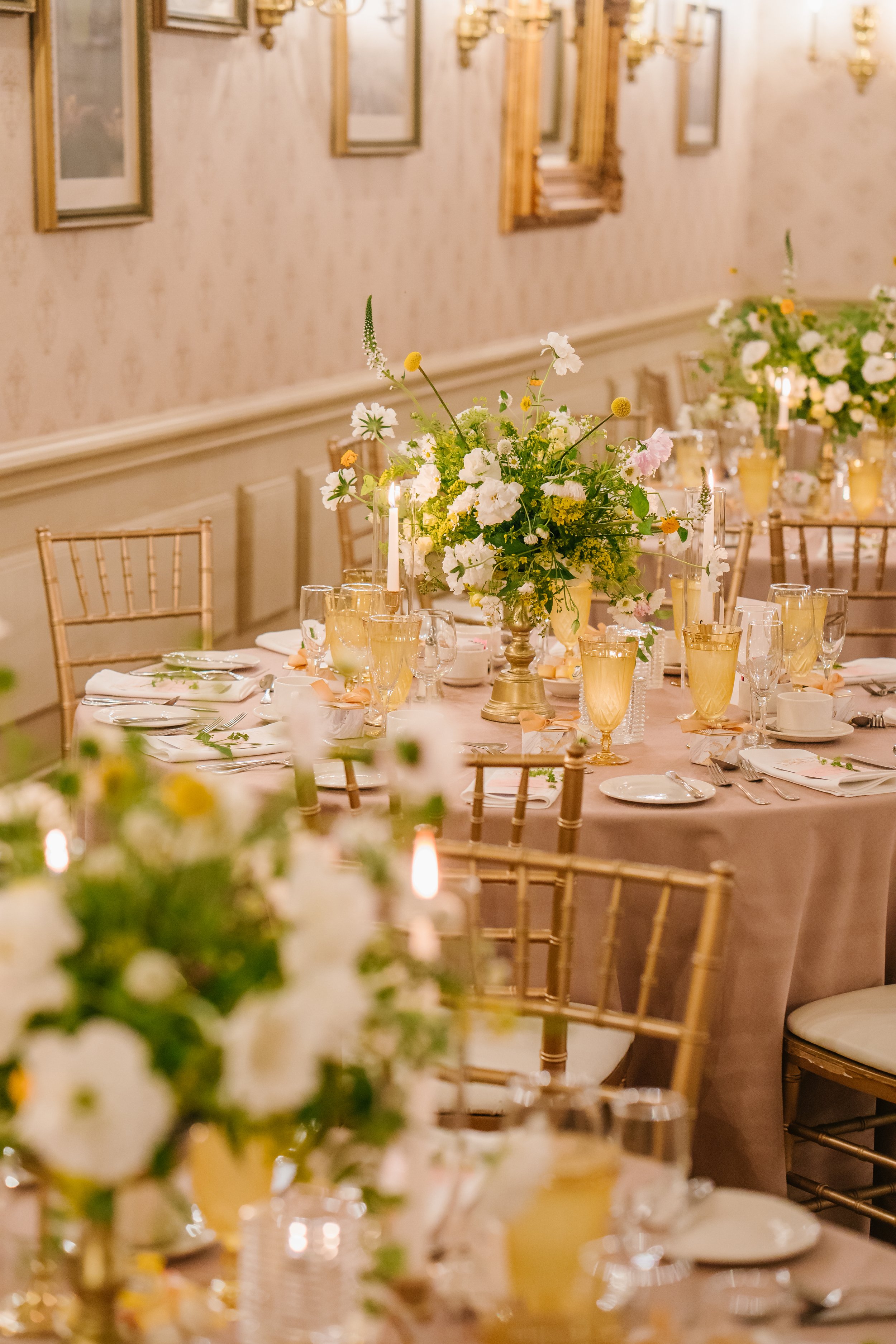 Emily Frank-486 (1).jpg