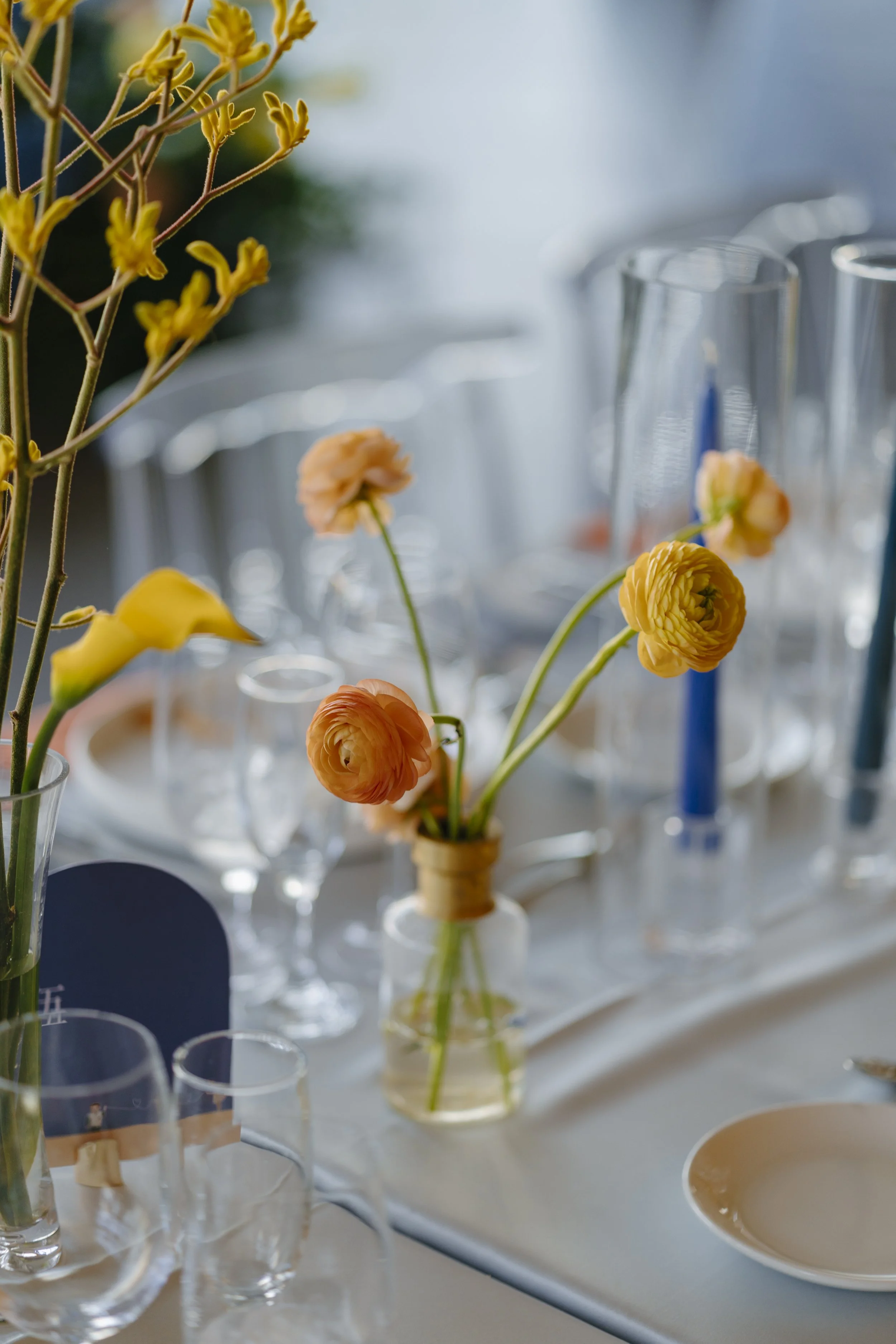 20221002 BV Jing&Cheng Wedding-682.jpg