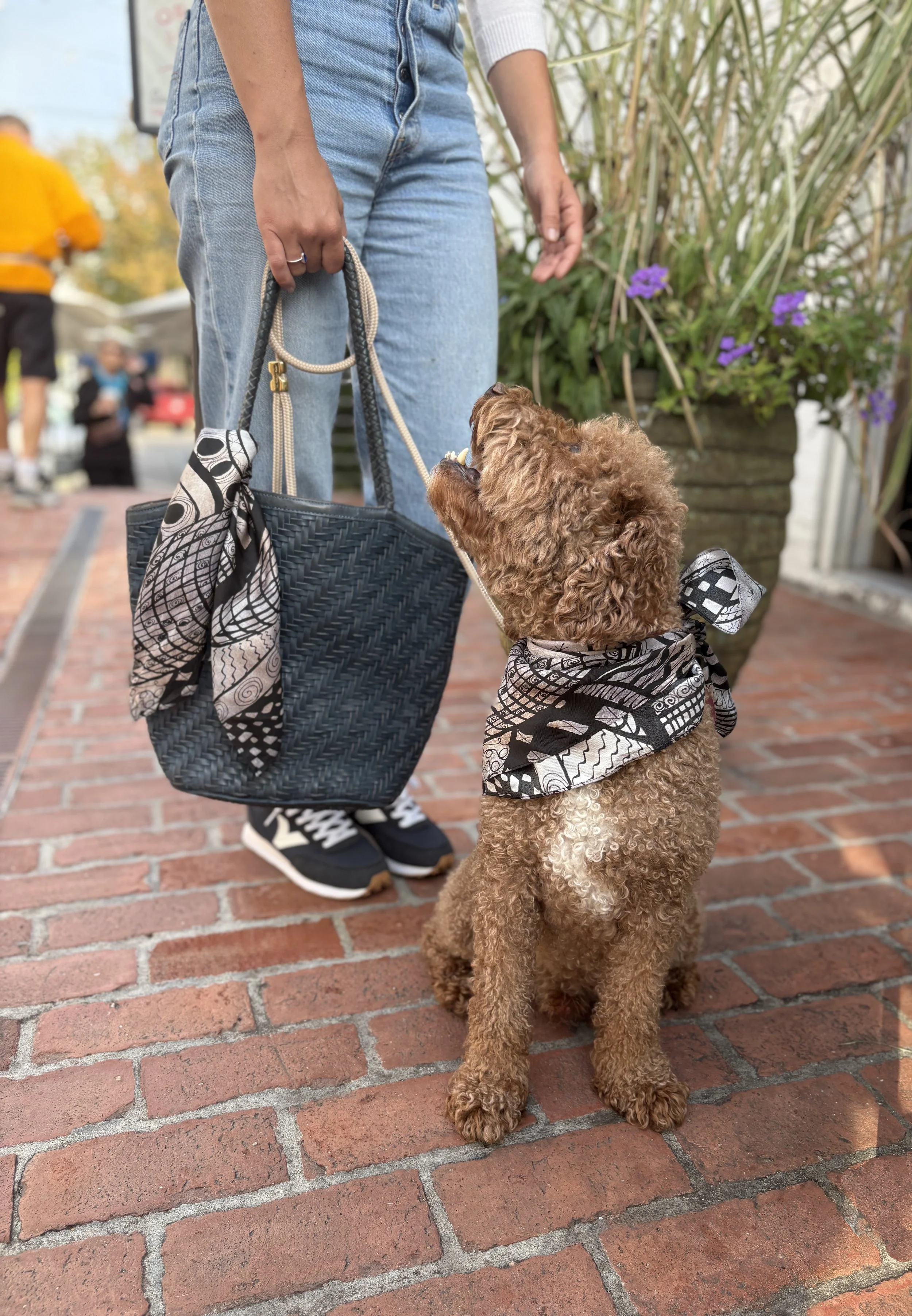 Factory on bag and Enzo .jpg