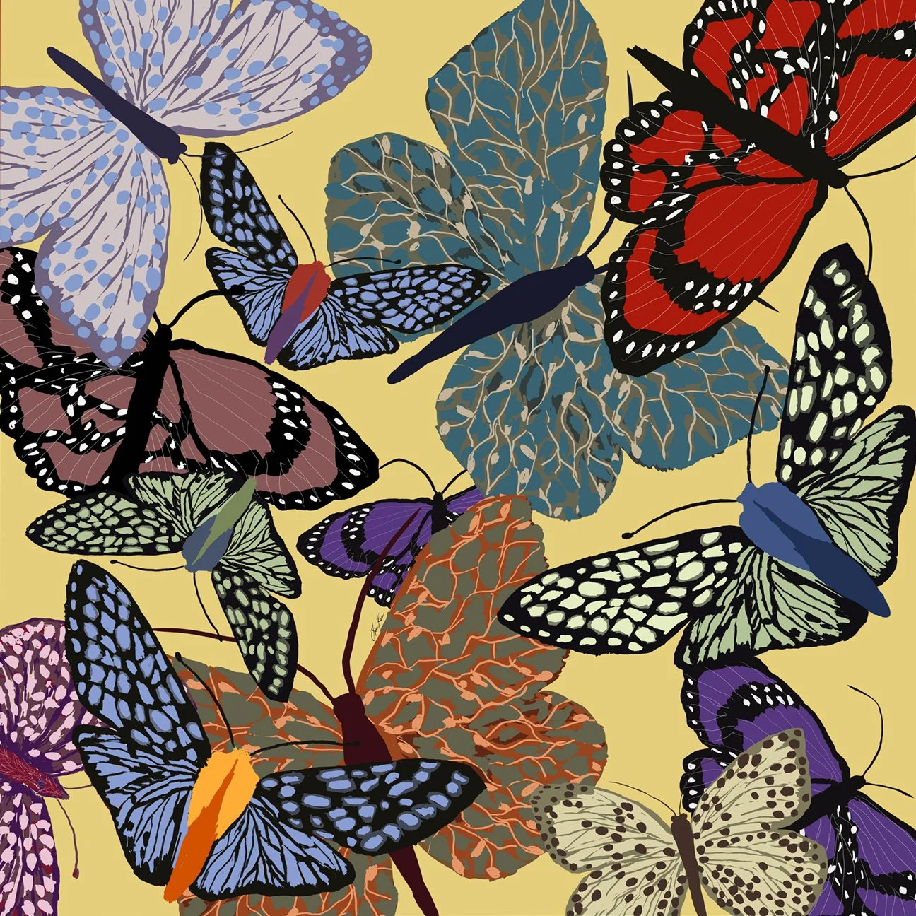 butterflies yellow 72dpi.jpg