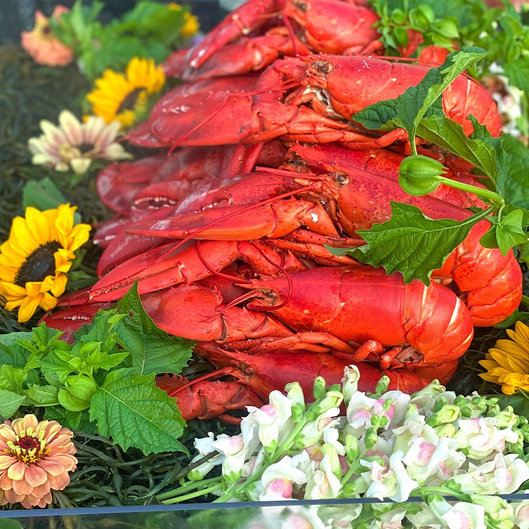 New England Lobster Bake Catering