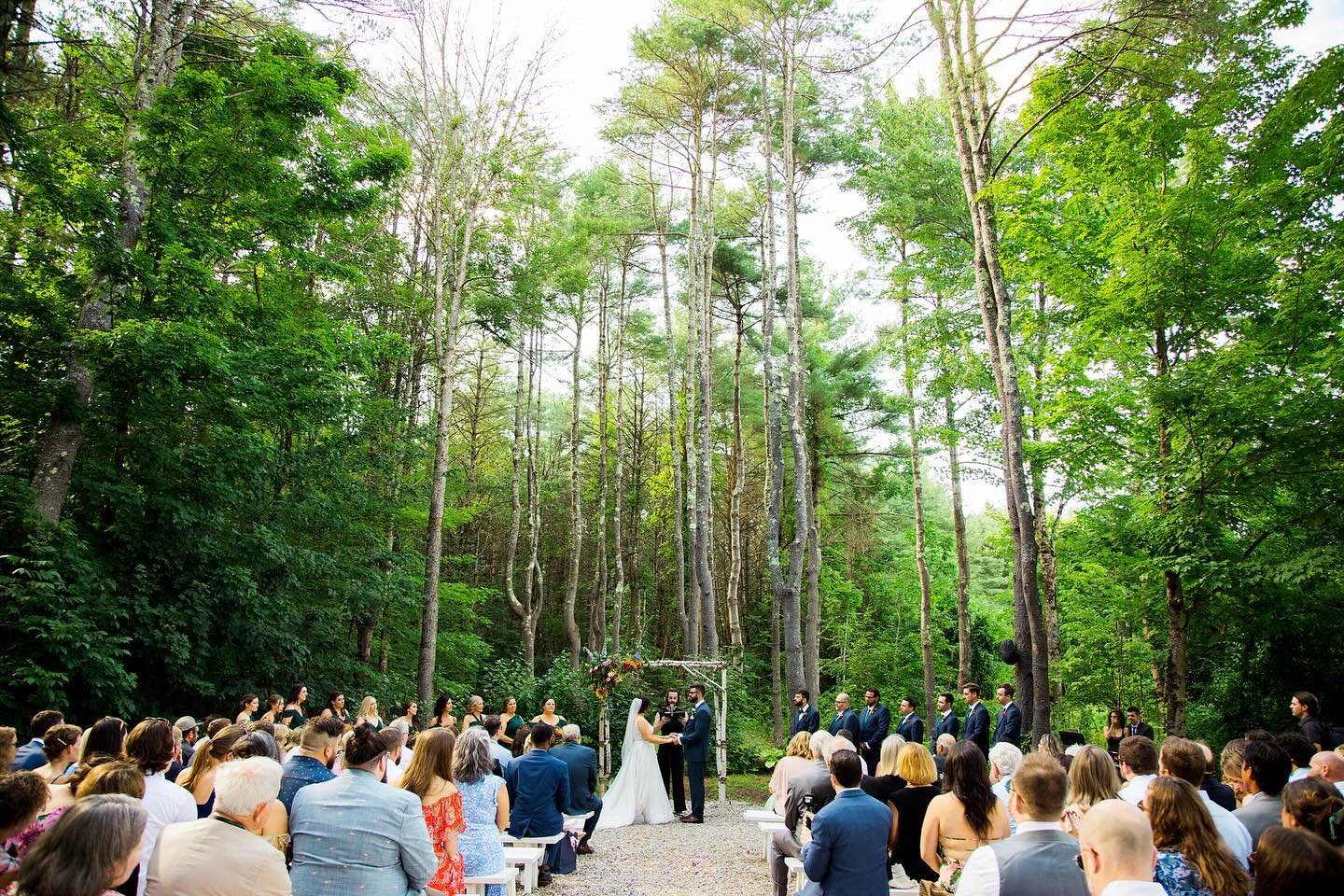 Nature&lsquo;s beauty showing off, making the perfect backdrop for love stories. Here&rsquo;s to forever among the pines!🌲💍 Happy Earth Day! 🌎

&bull;

📸: @juliekgrayphotography