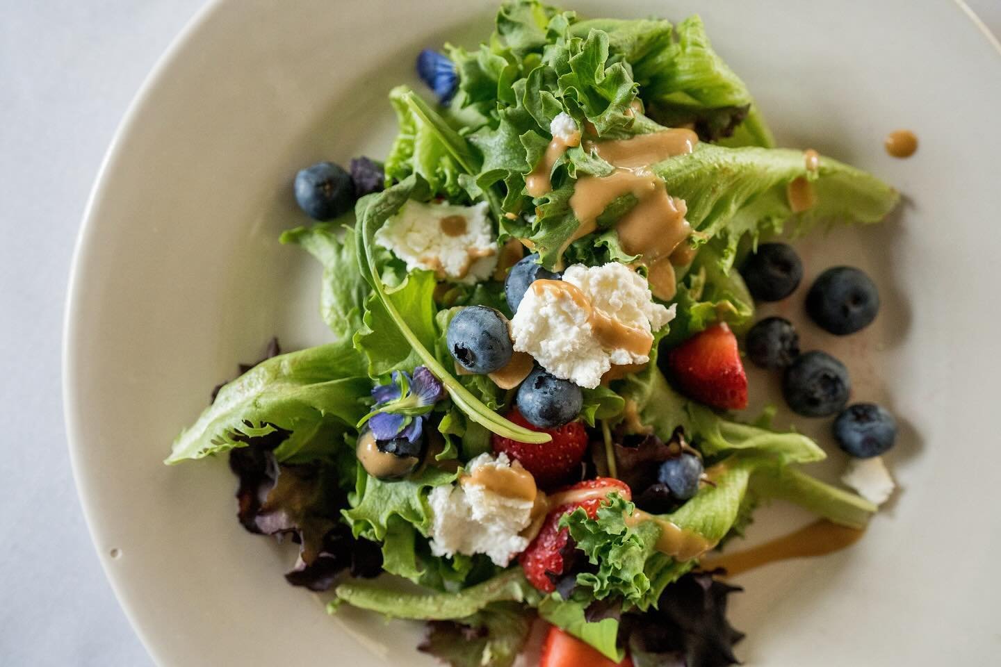 Give your guests a taste of Maine with every bite.🫐🍁 Fresh Maine blueberries and a maple balsamic vinaigrette in our starter salad makes for a colorful, fresh, and delicious option to start your dinner service, packed with local ingredients! 

&bul