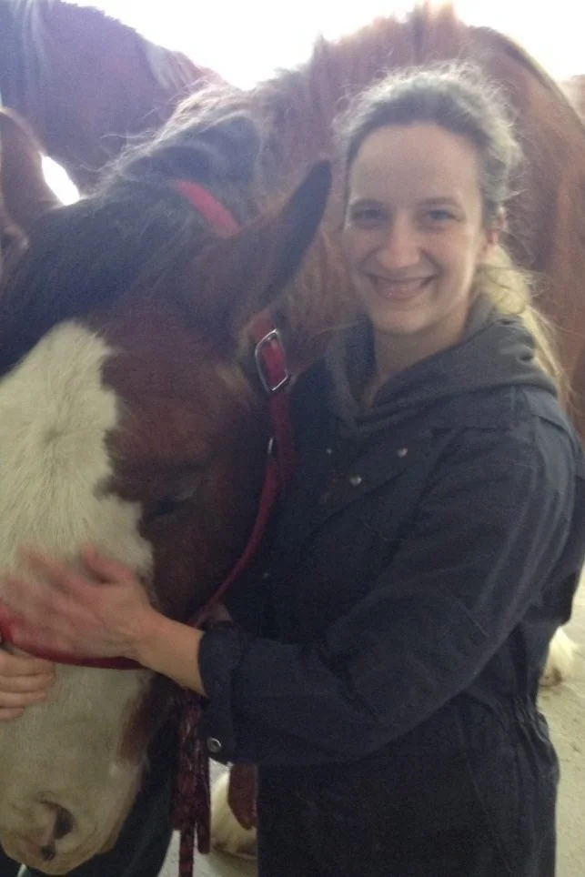 Horses — Beausejour Animal Hospital