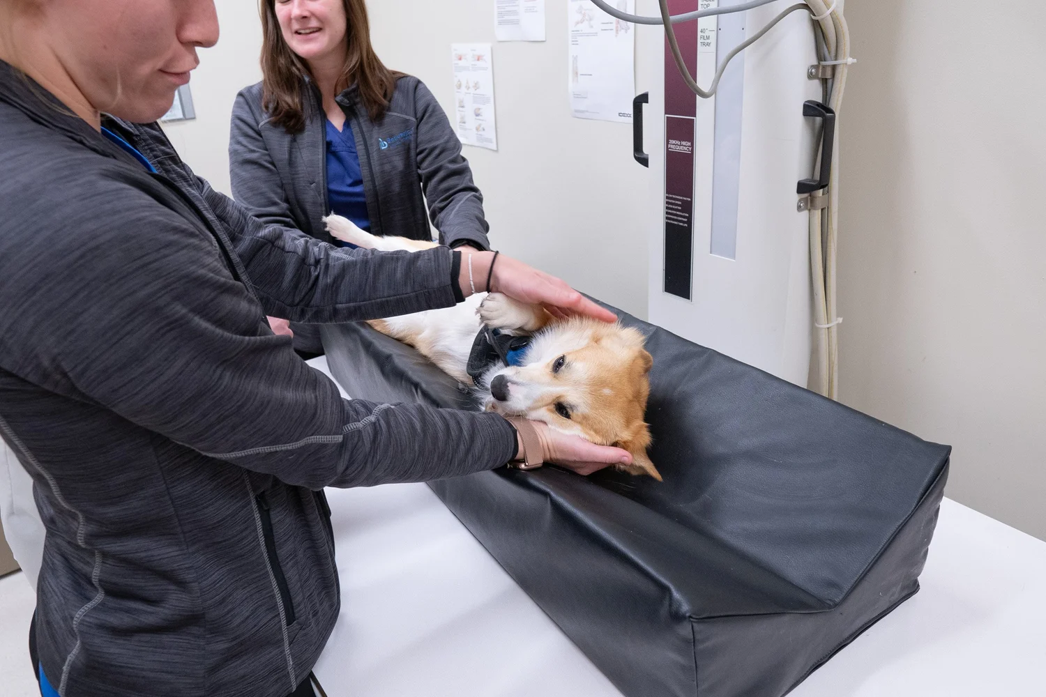 Team — Beausejour Animal Hospital