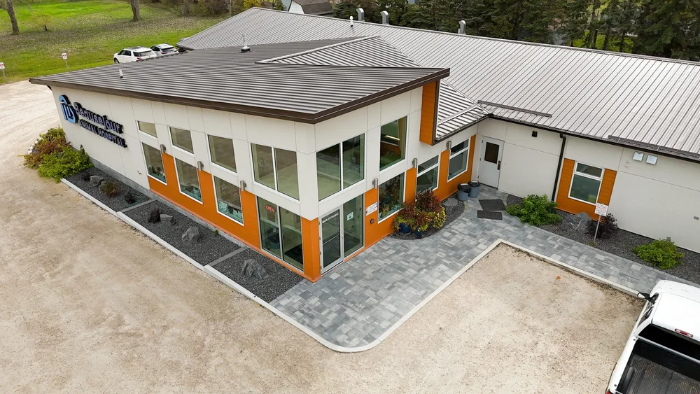 About us — Beausejour Animal Hospital