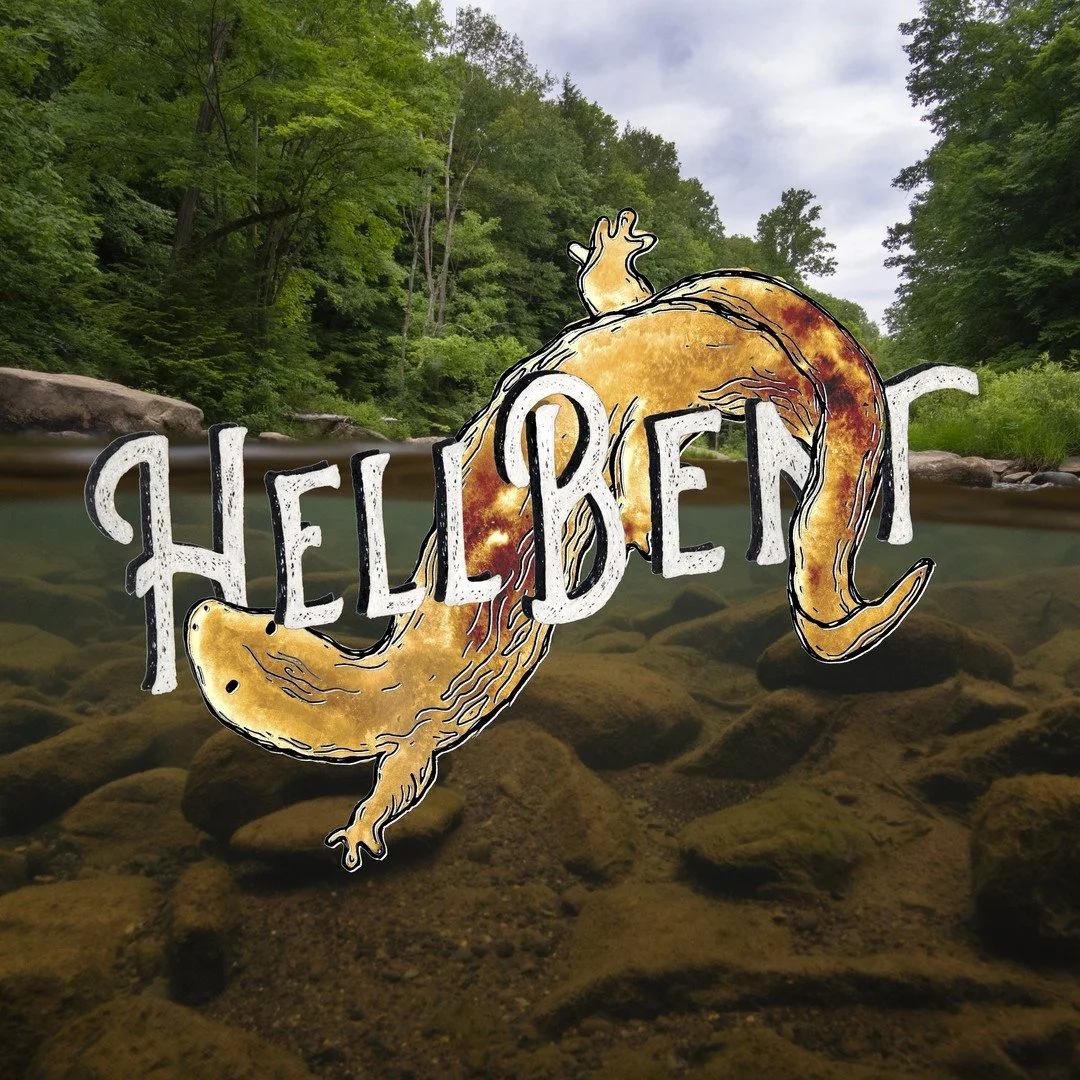 Hellbent - live on wild commons