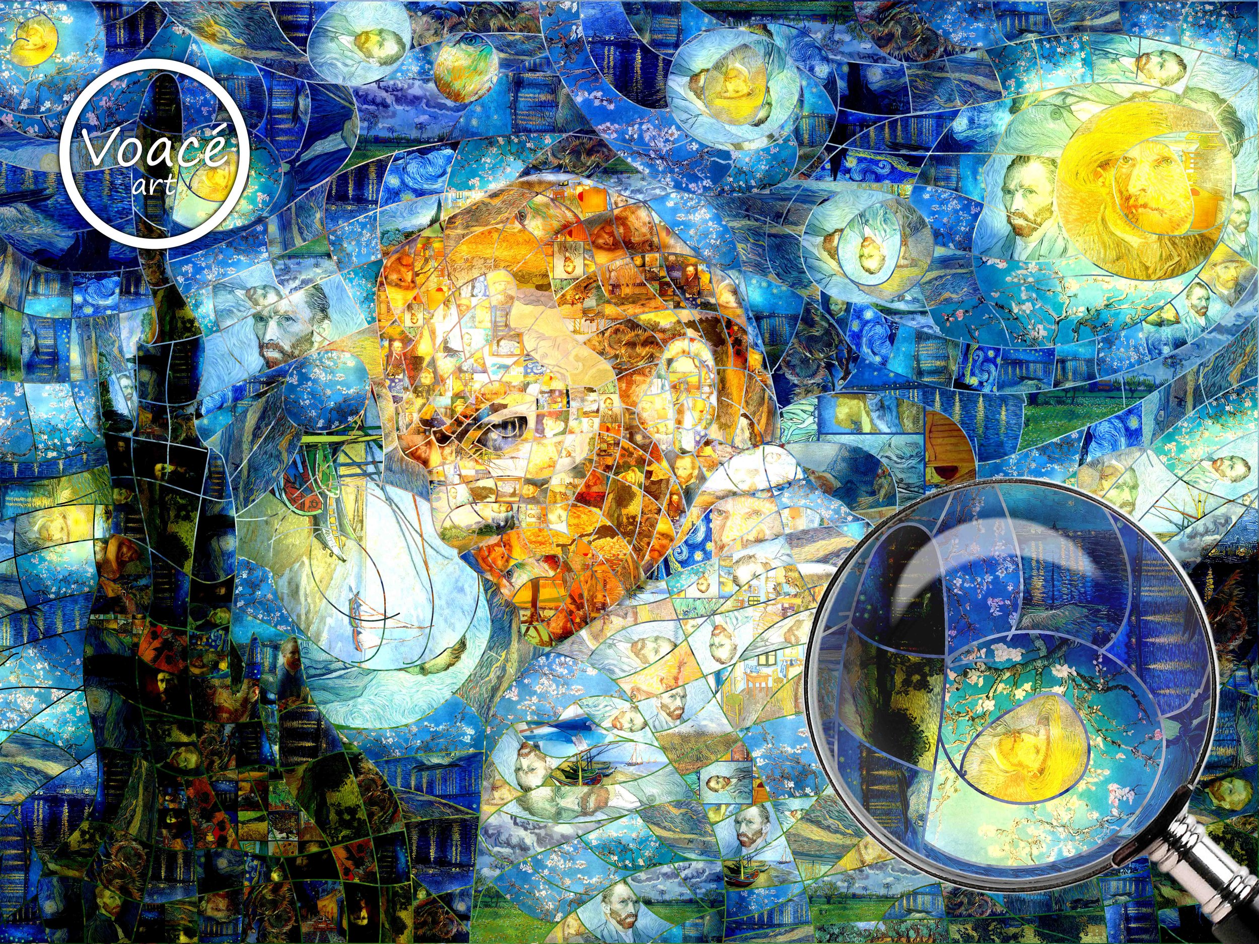 Vincent Van GohWS.jpg