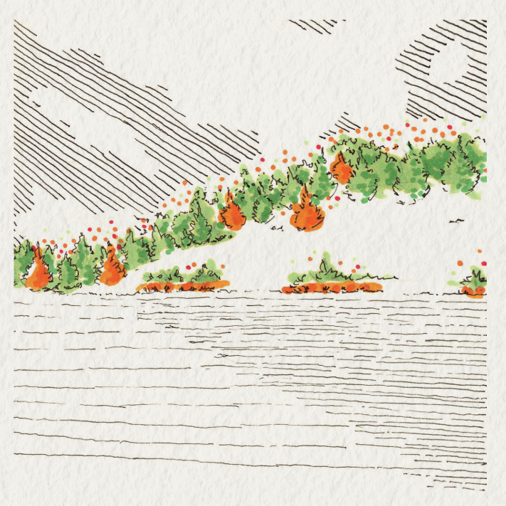 Sketch texture.png