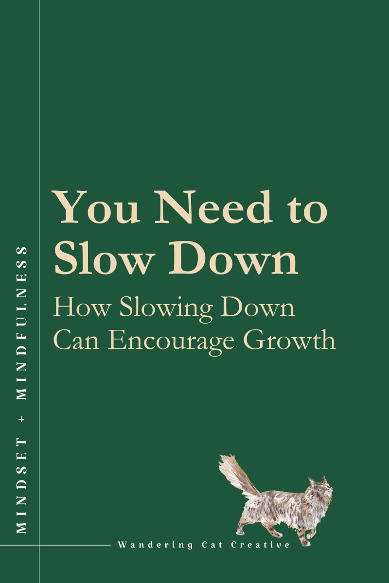 You Need to Slow Down: How Slowing Down Can Actually Encourage Growth