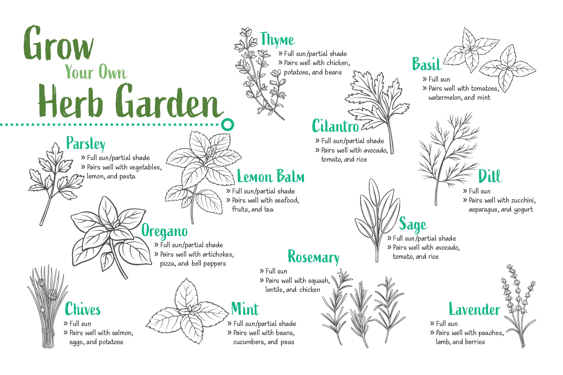 7.2021 Herb Garden.png