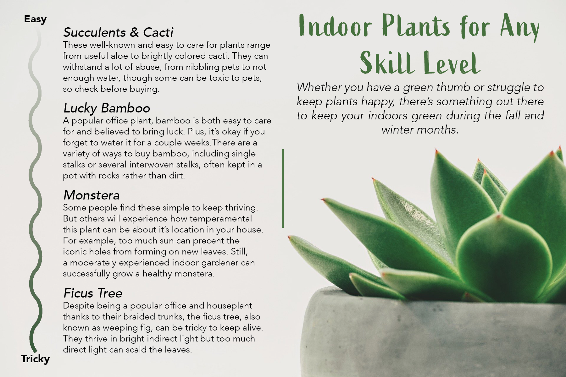 8.2020 Indoor Plants Postcard.png