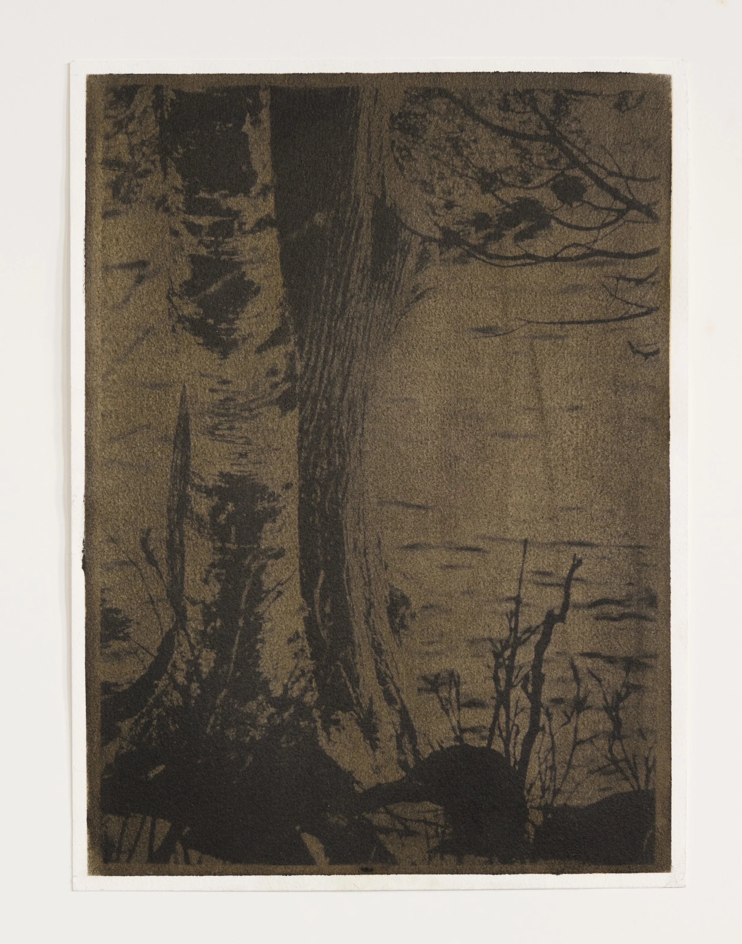 Lakeside. Side Trees.k_3_3069.jpg