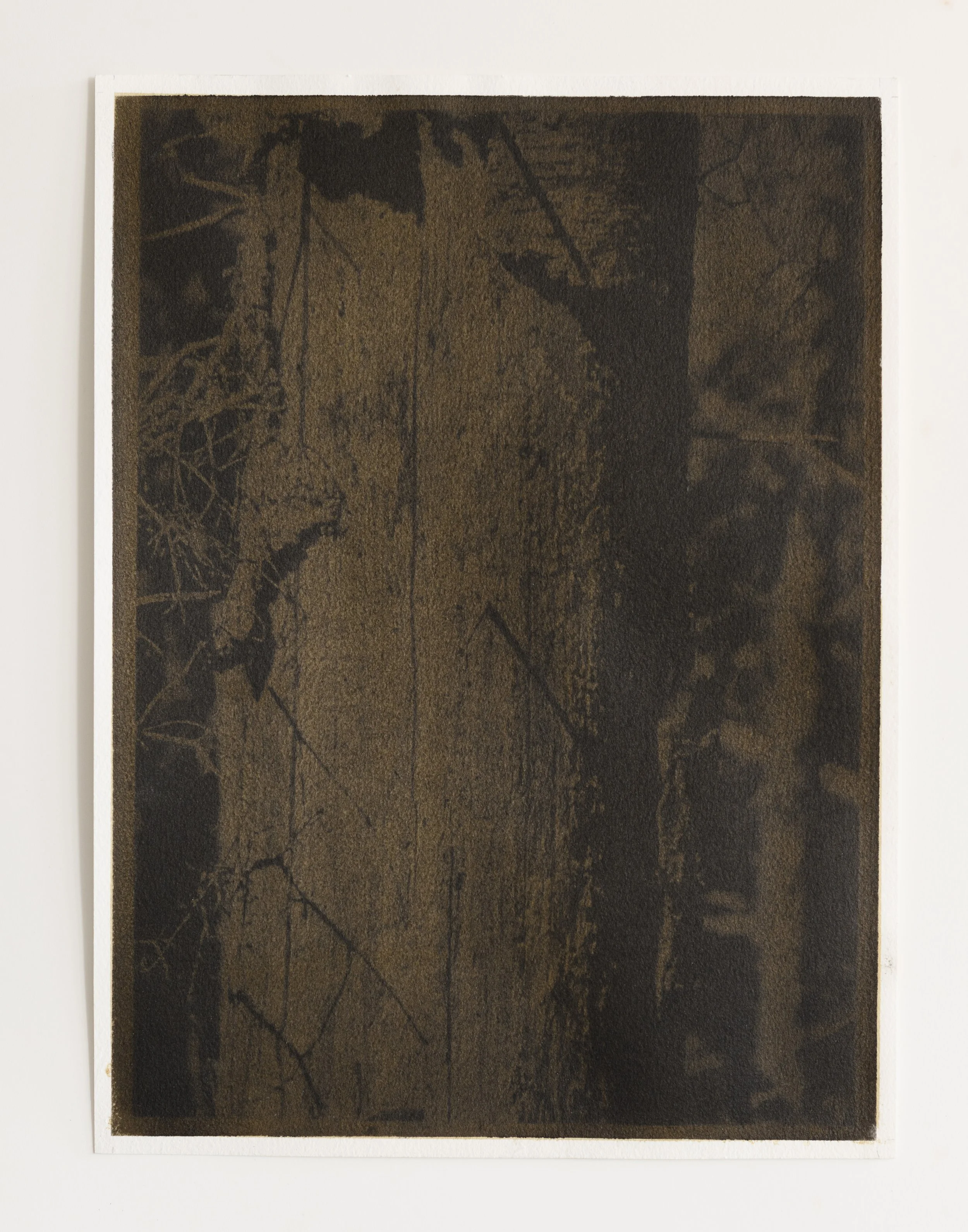 Fire Tree.l_3_3072.jpg