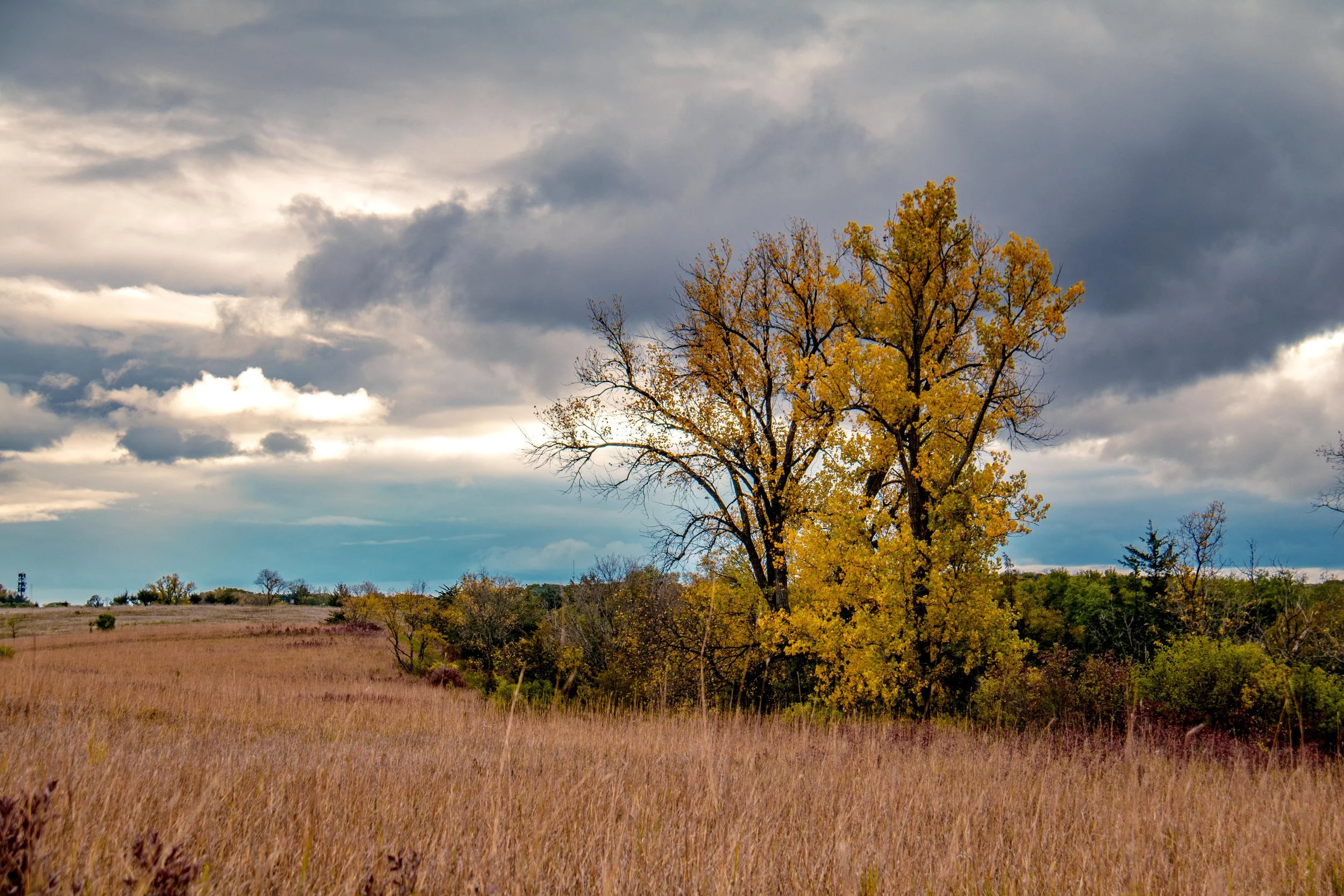 Afton State Park 1