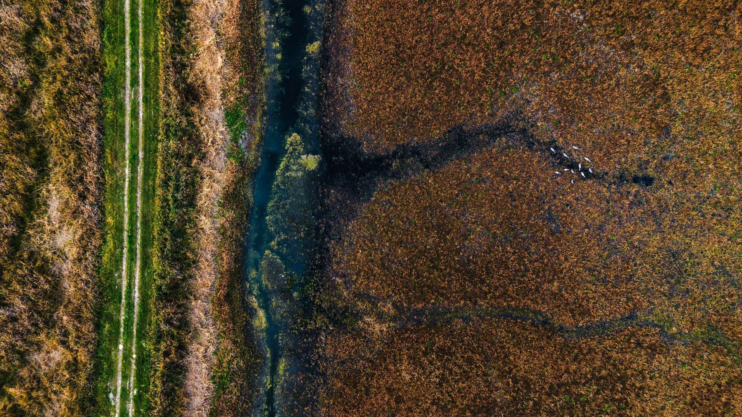 DJI_0370.jpg