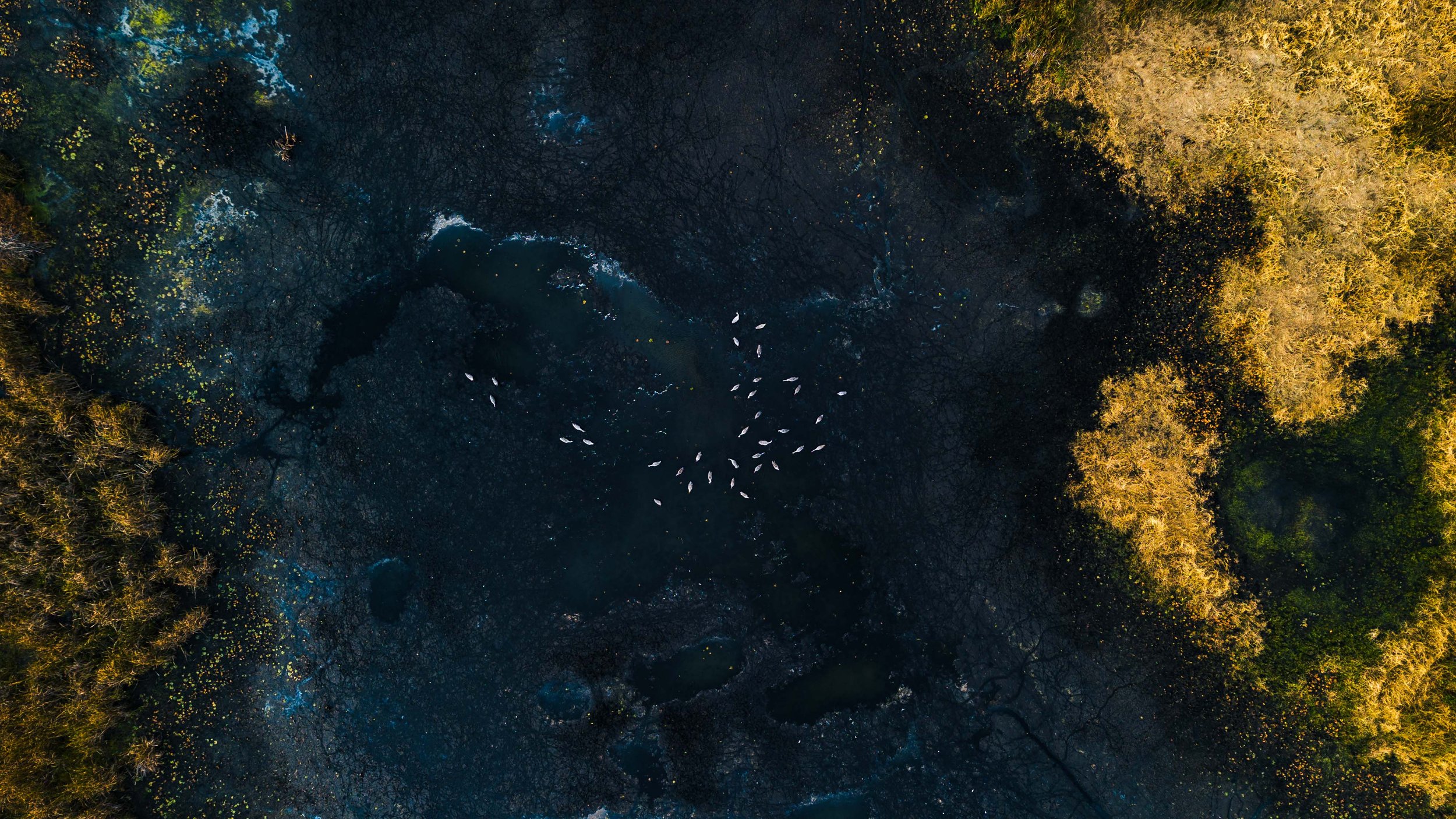 DJI_0362.jpg