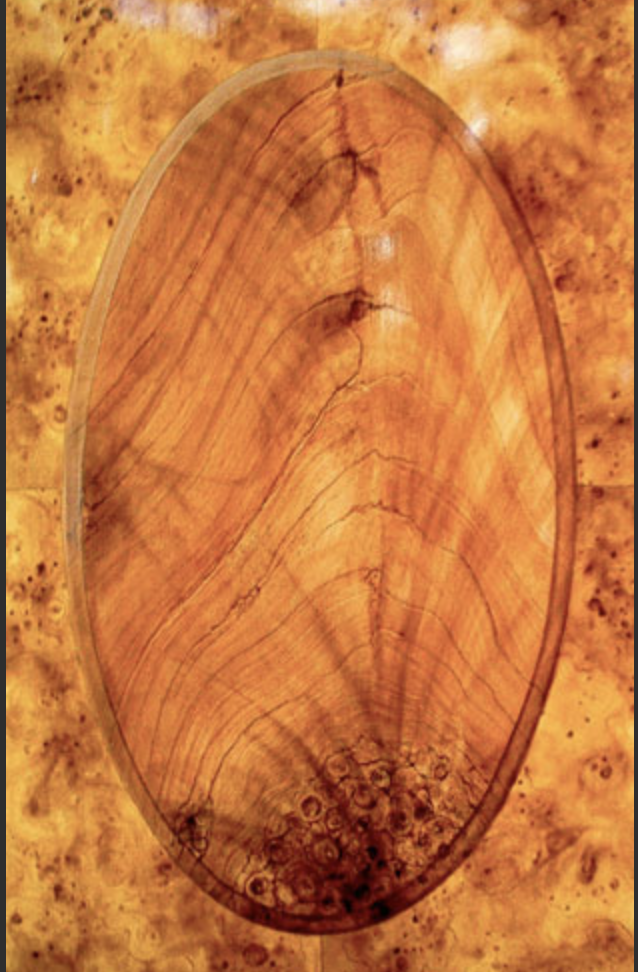 Screen Shot 2026-02-20 at 9.13.27 AM.png