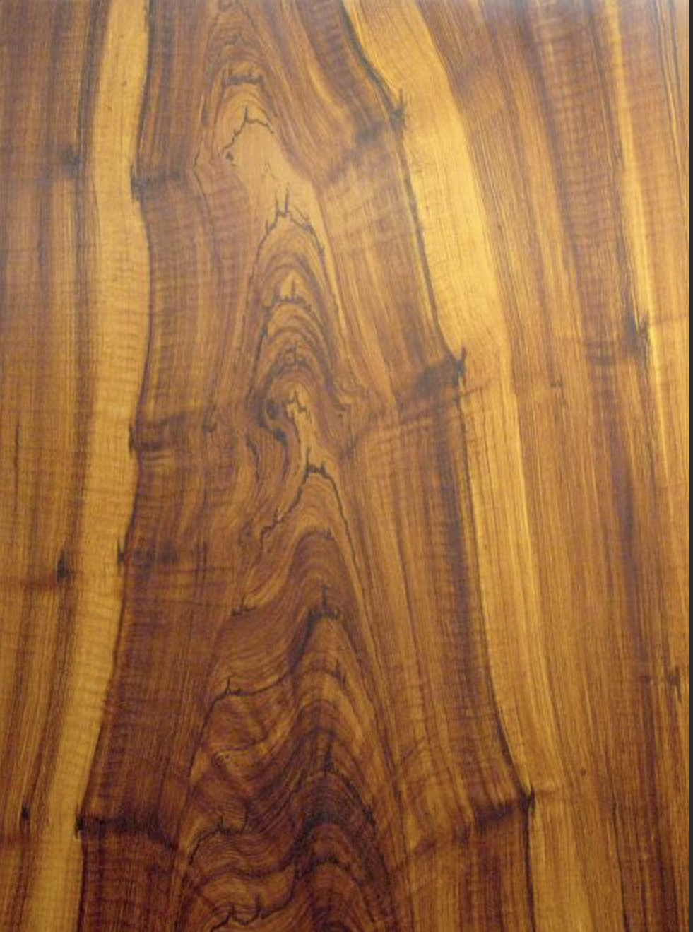 Screen Shot 2026-02-20 at 9.14.18 AM.png