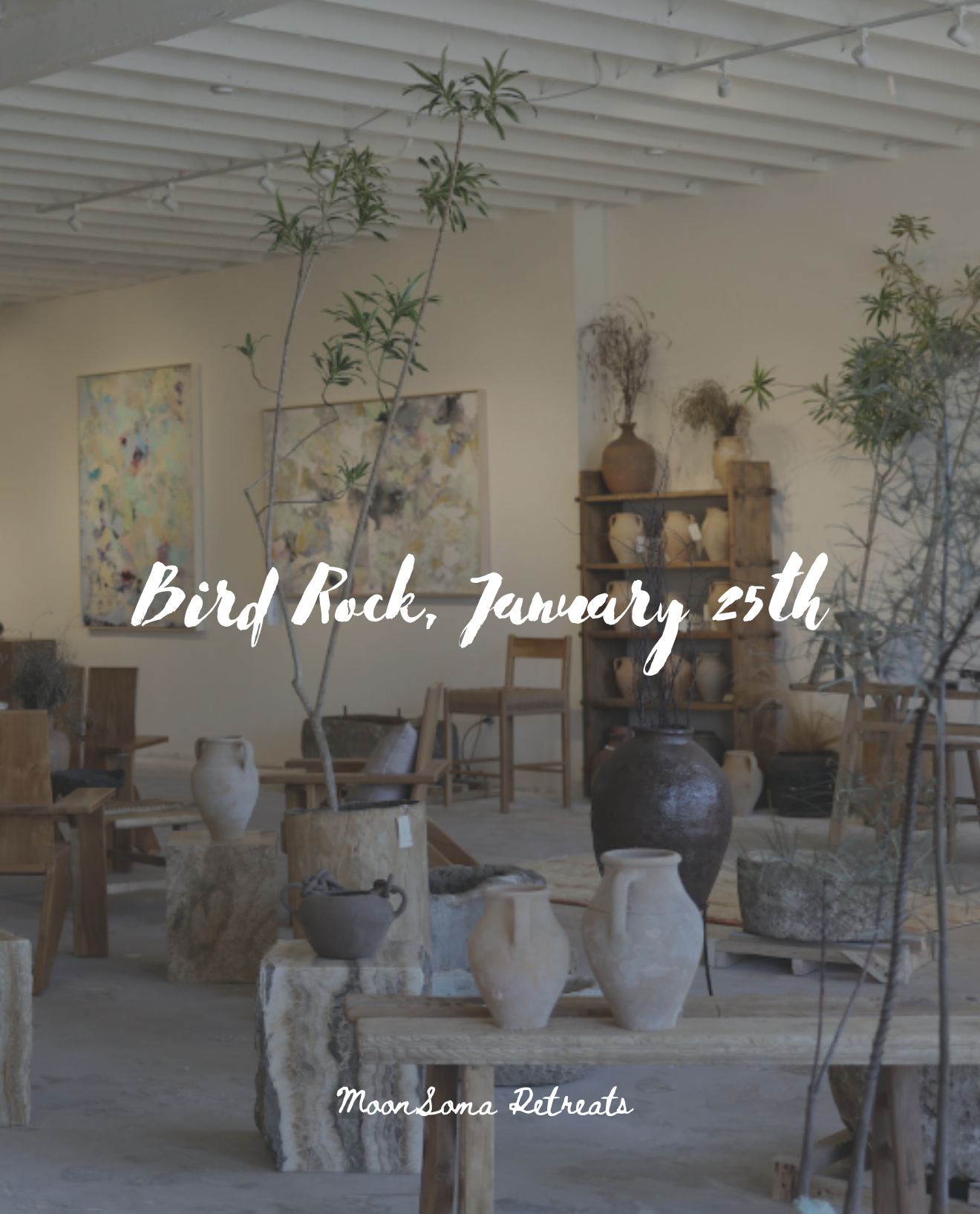 Moon Soma | Winter Wellness