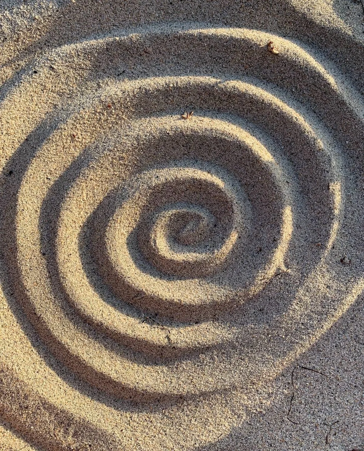 A spiral drawn in the sand,
a quiet map of becoming.

Not forward.
Not backward.

Just inward.