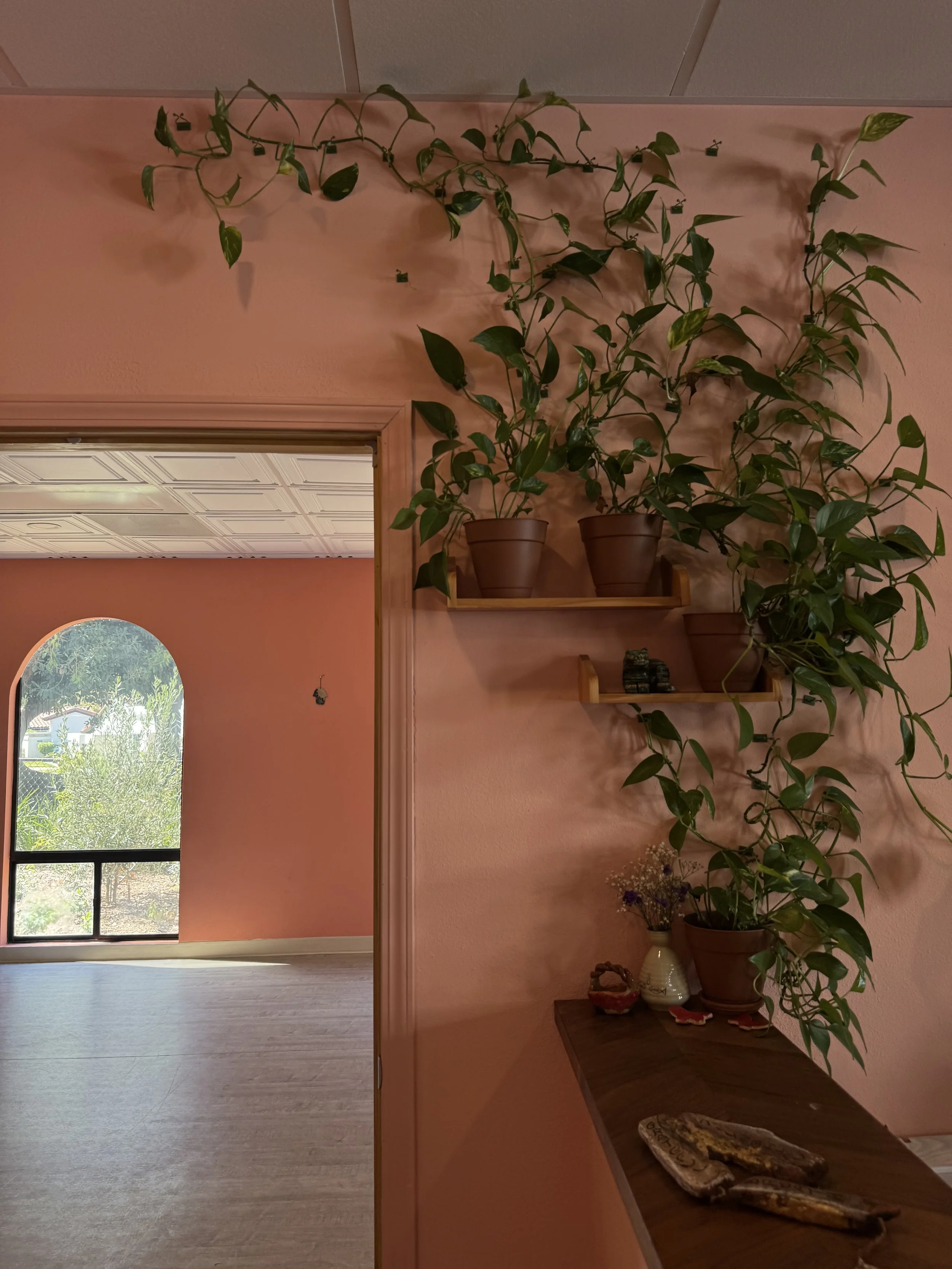 Akasha Yoga Studio