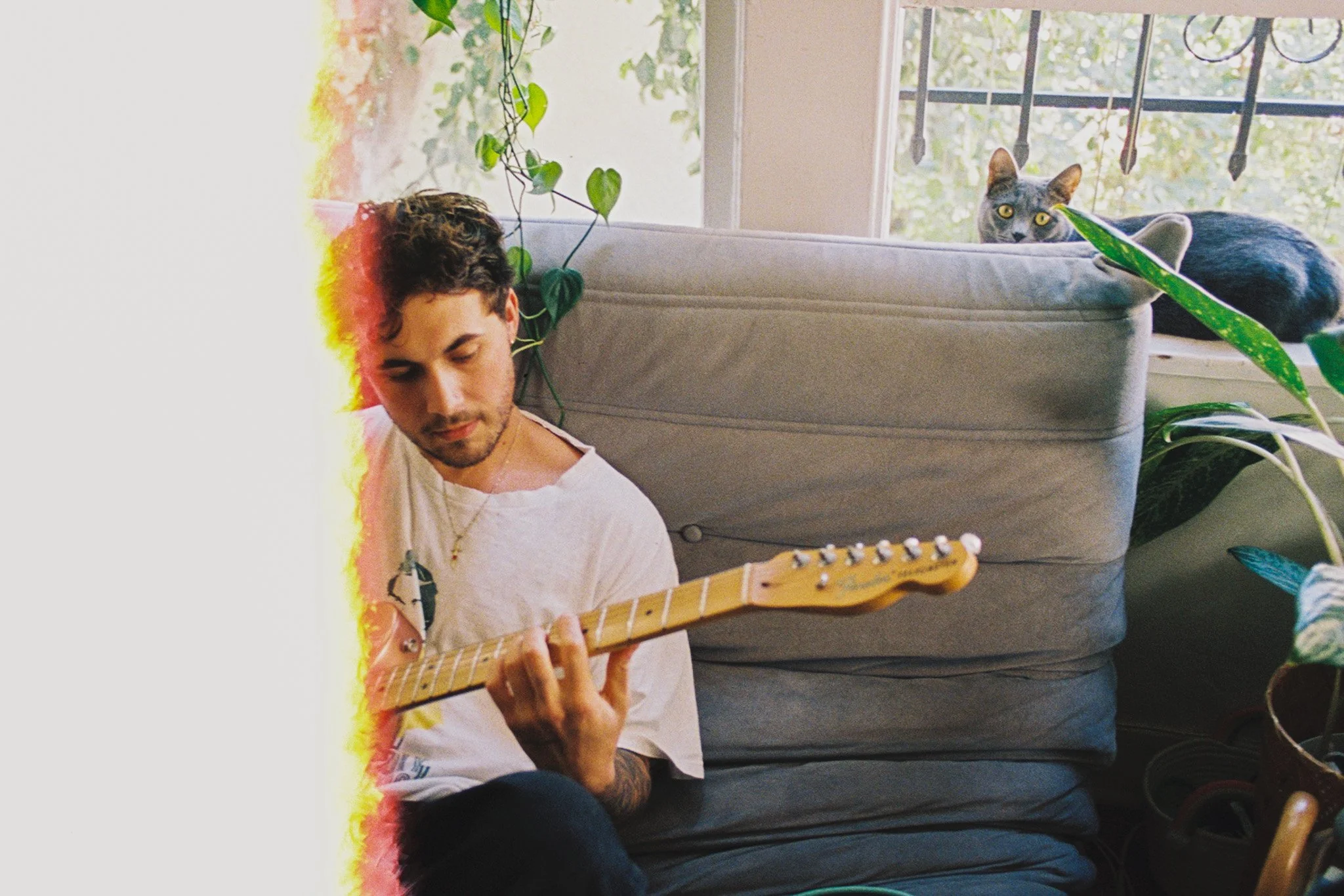 A young man playing an electric guitar on a gray sofa with green plants nearby and a gray cat lying on the backrest looking toward the camera.