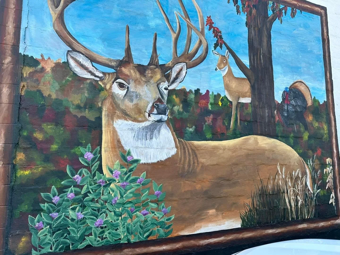 St. Johns Whitetail Buck Mural