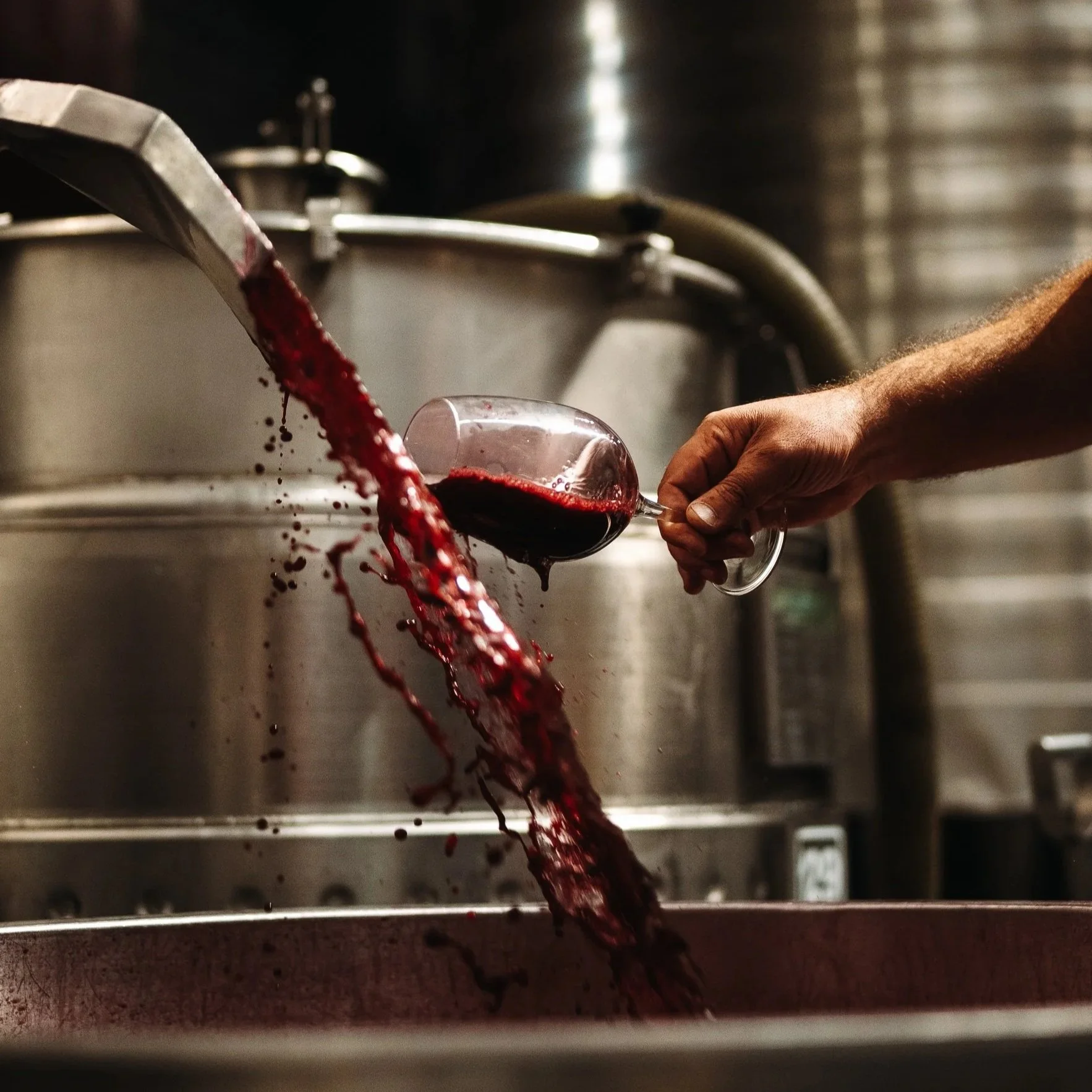 Malbec vs Cabernet Sauvignon: Which Wine is right for you?