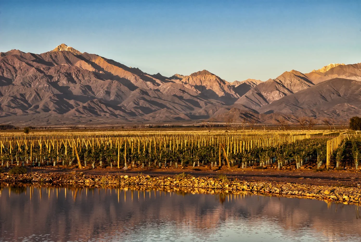 Why Uco Valley produces some of Argentina's best wines