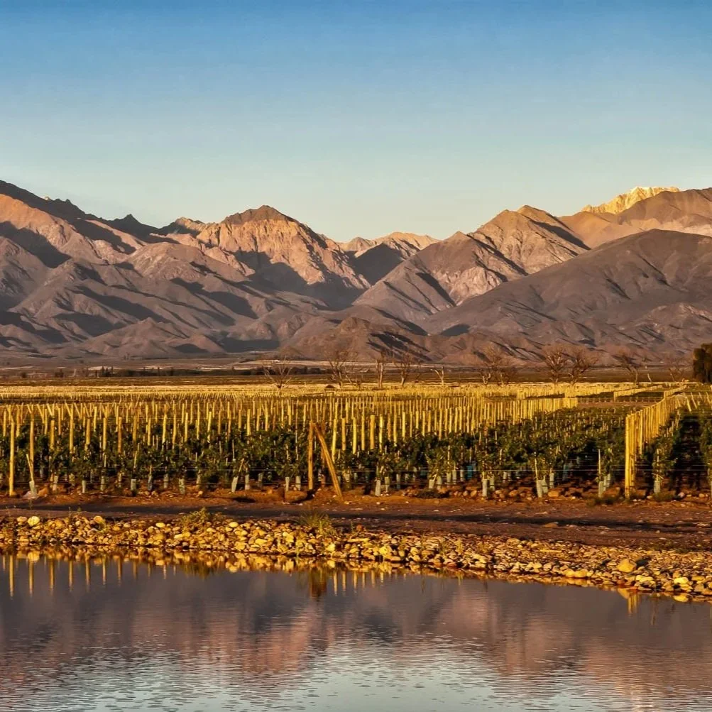 Why Uco Valley produces some of Argentina's best wines