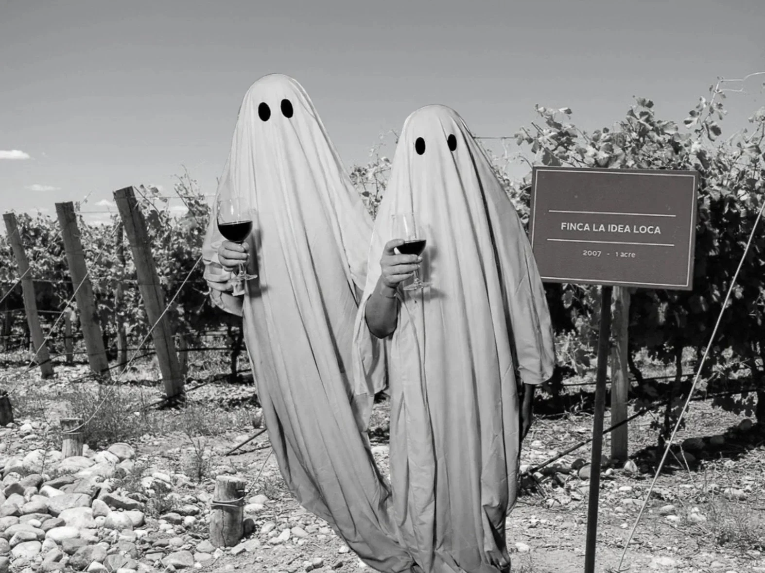 Things are getting spooky!