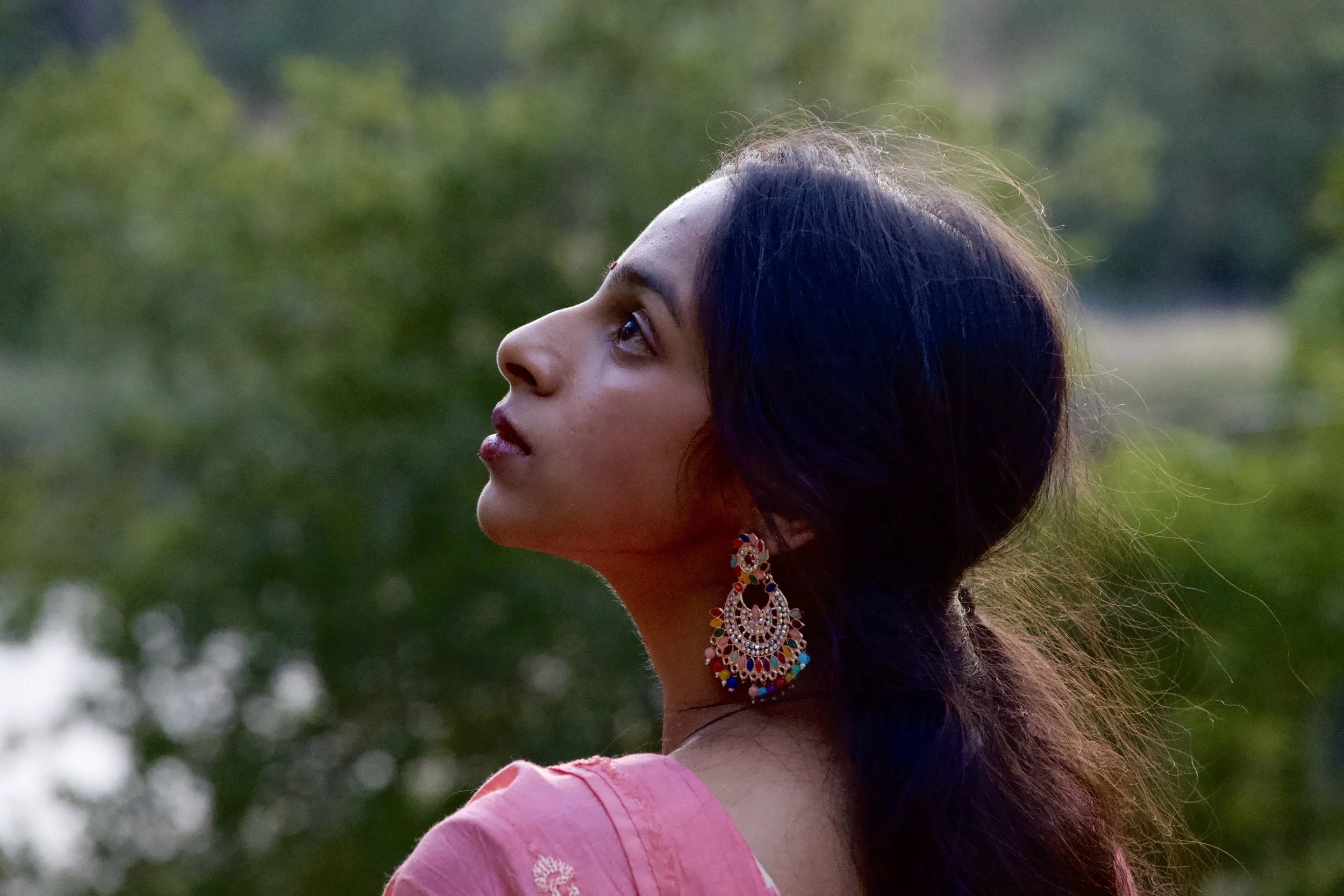 Nikon Z8 w/ Sigma 17-120