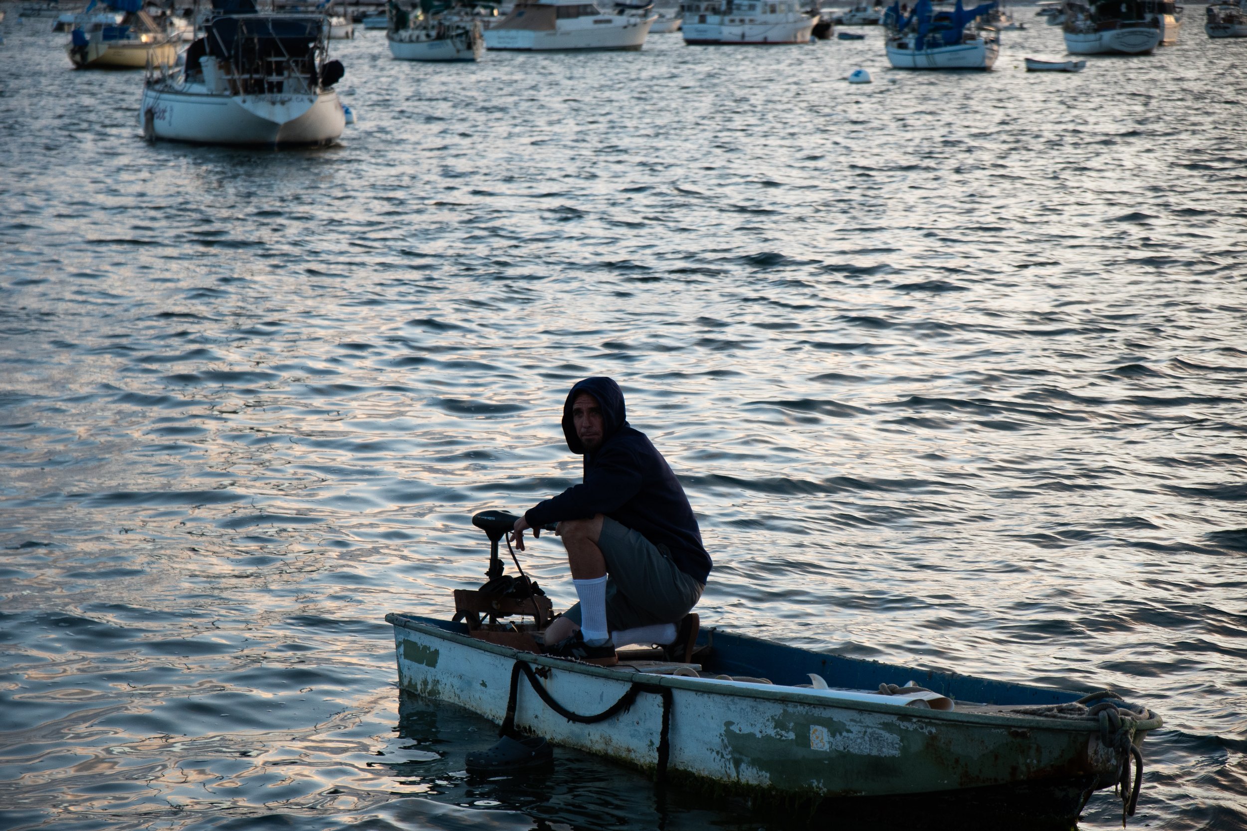 Nikon D500 w/ Sigma 17-70 