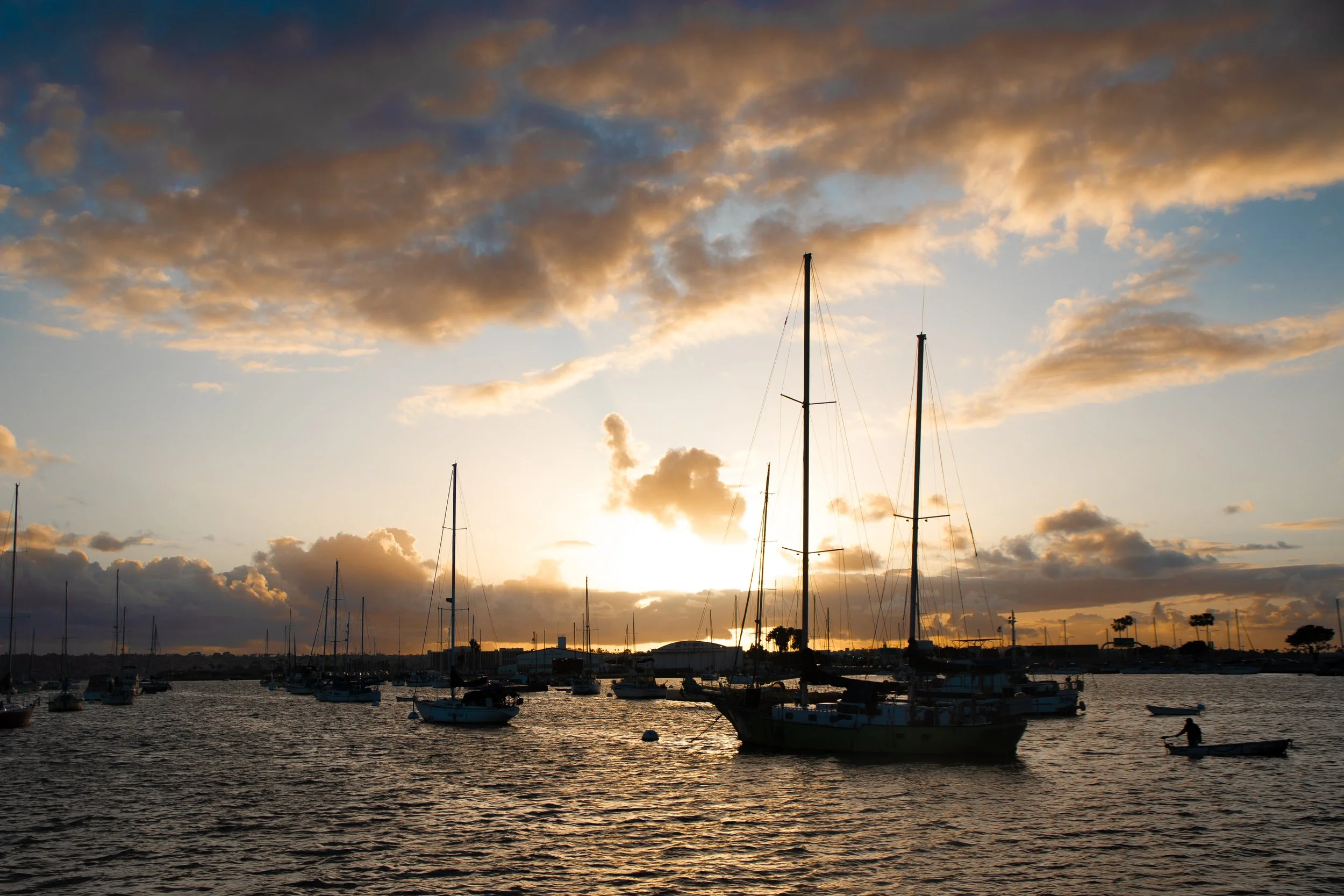 Nikon D500 w/ Sigma 17-70