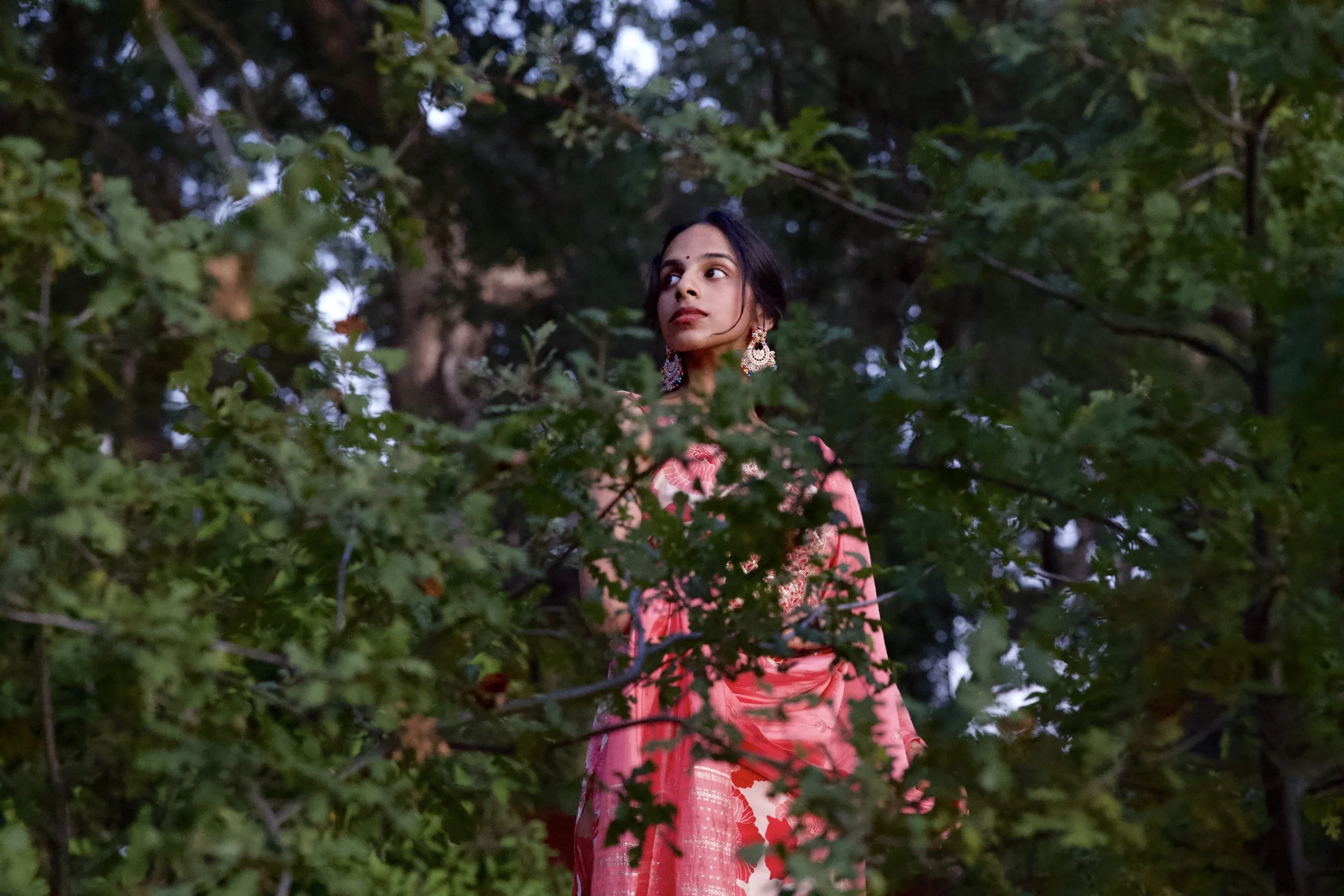 Nikon Z8 w/ Sigma 17-120