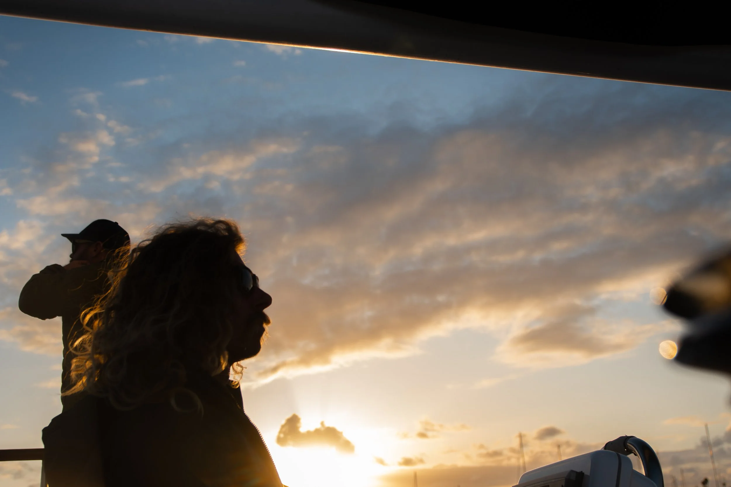 Nikon D500 w/ Sigma 17-70