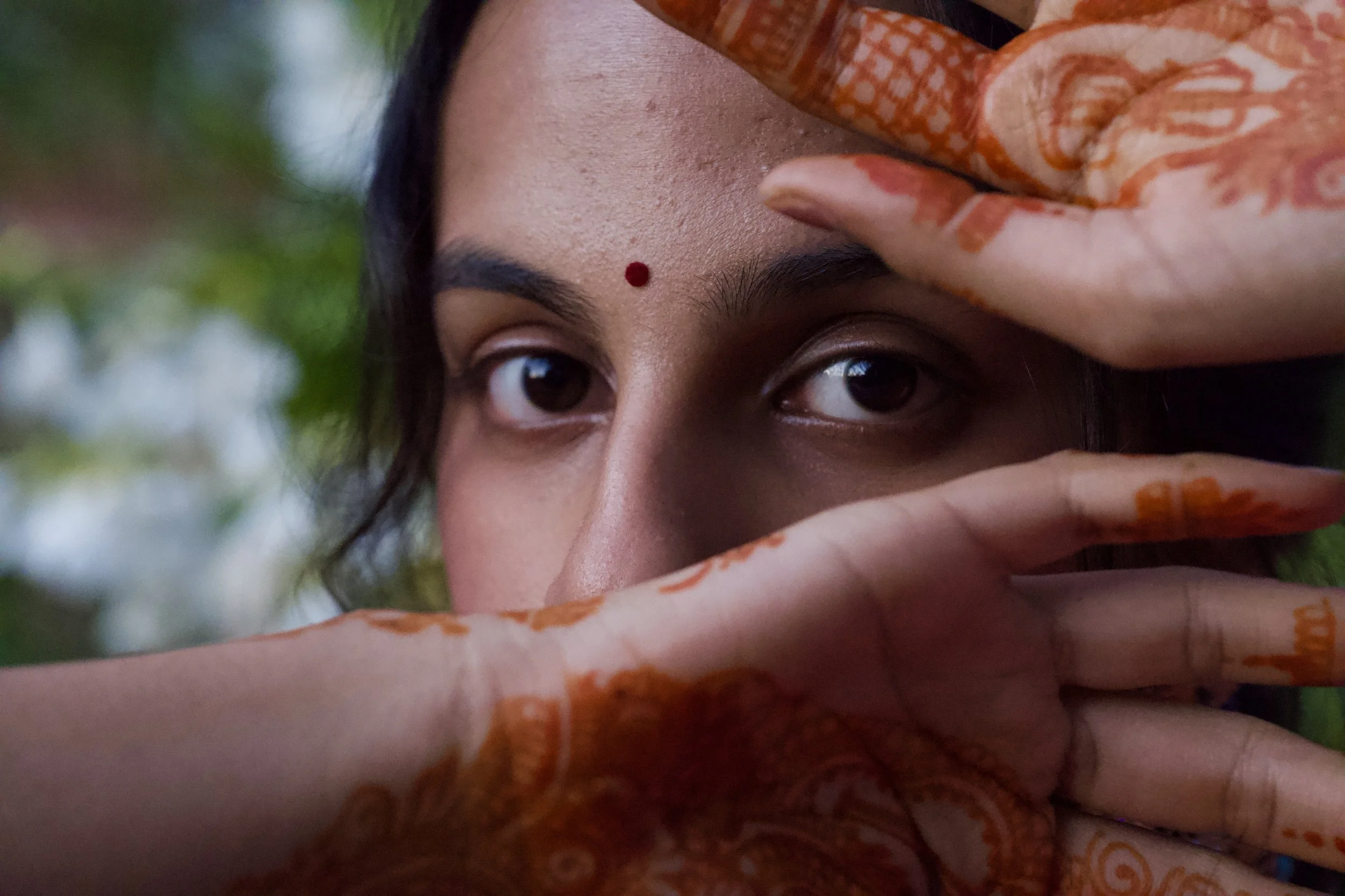 Nikon Z8 w/ Sigma 17-120