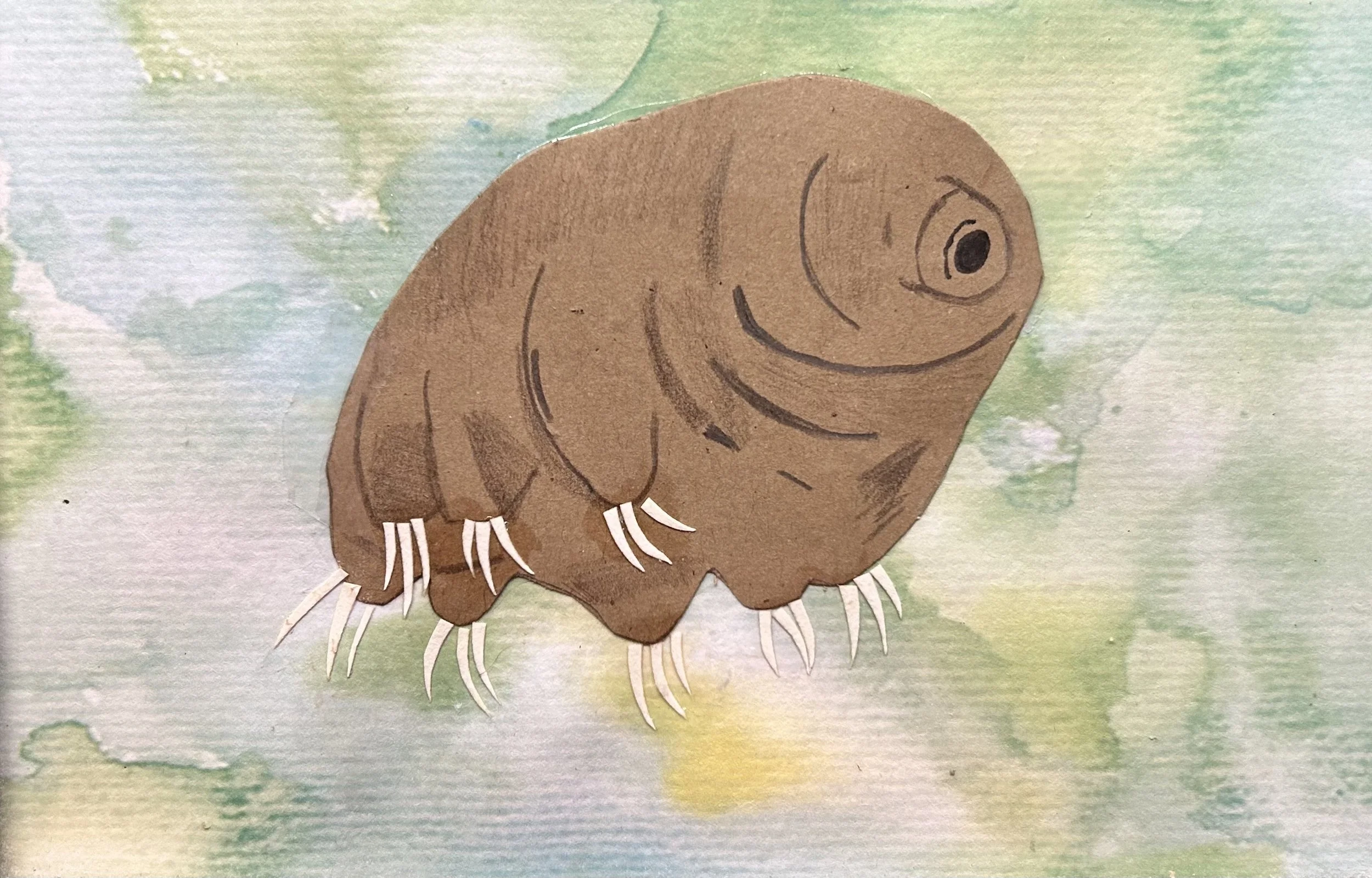 Tardigrade